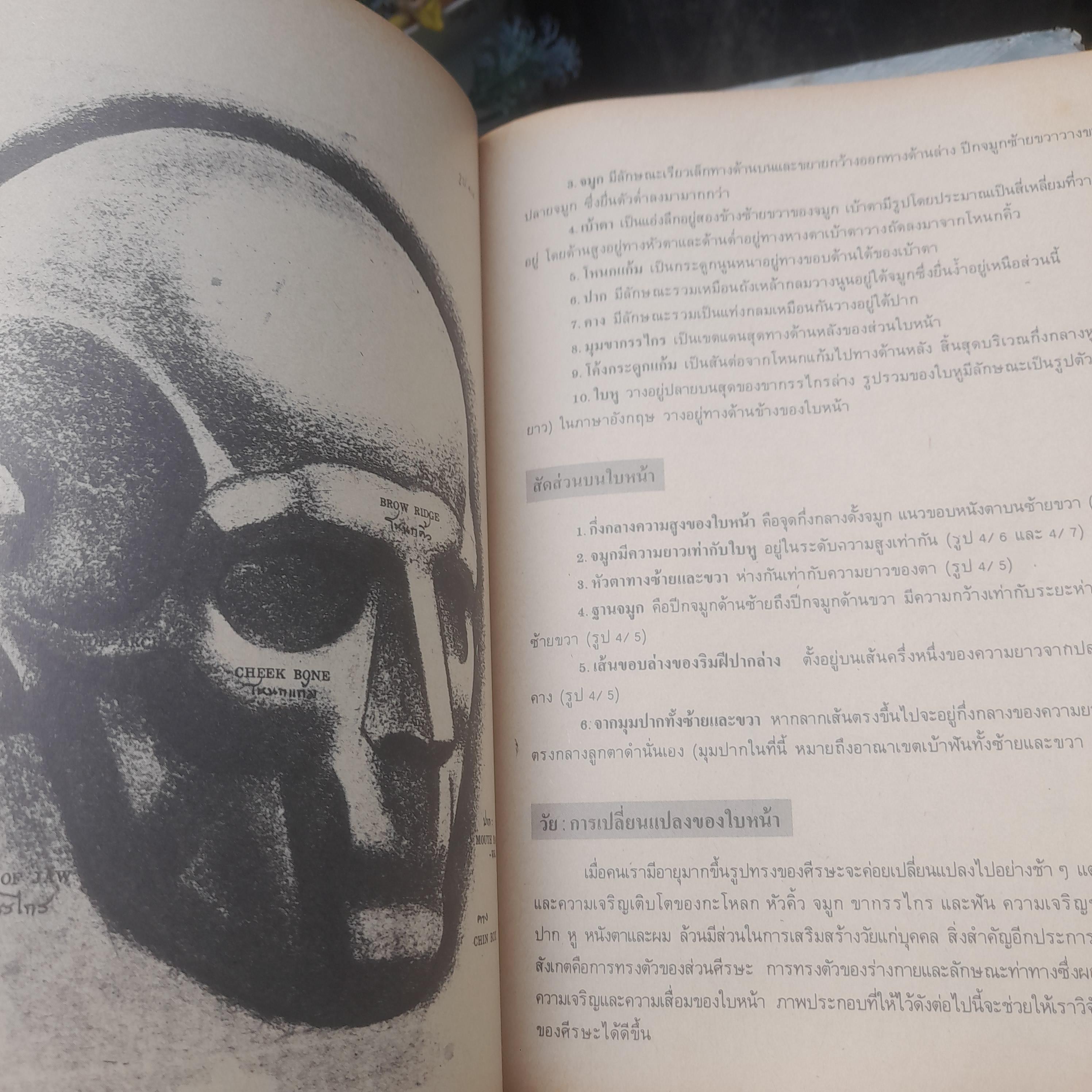 ตำราการเขียนภาพ โดย นิวิต หะนนท์ หนังสือมือหนึ่ง สภาพอ่าน