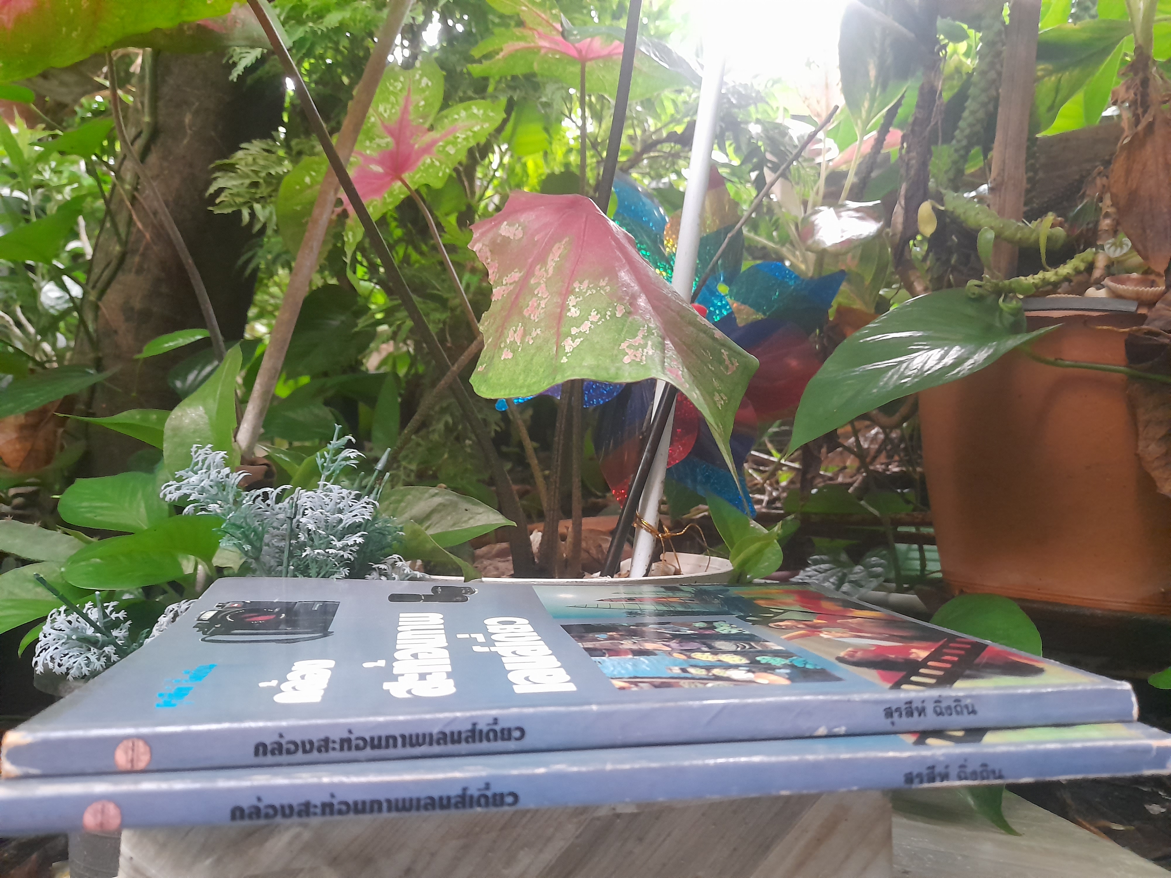 กล้องสะท้อนภาพเลนส์เดี่ยว โดย สุรสีห์ ฉิ่งถิน หนังสือที่ใช้เป็นตำราในการเรียนการสอน วิชาเทคโนโลยีการถ่ายภาพ มหาลัยมหิดล