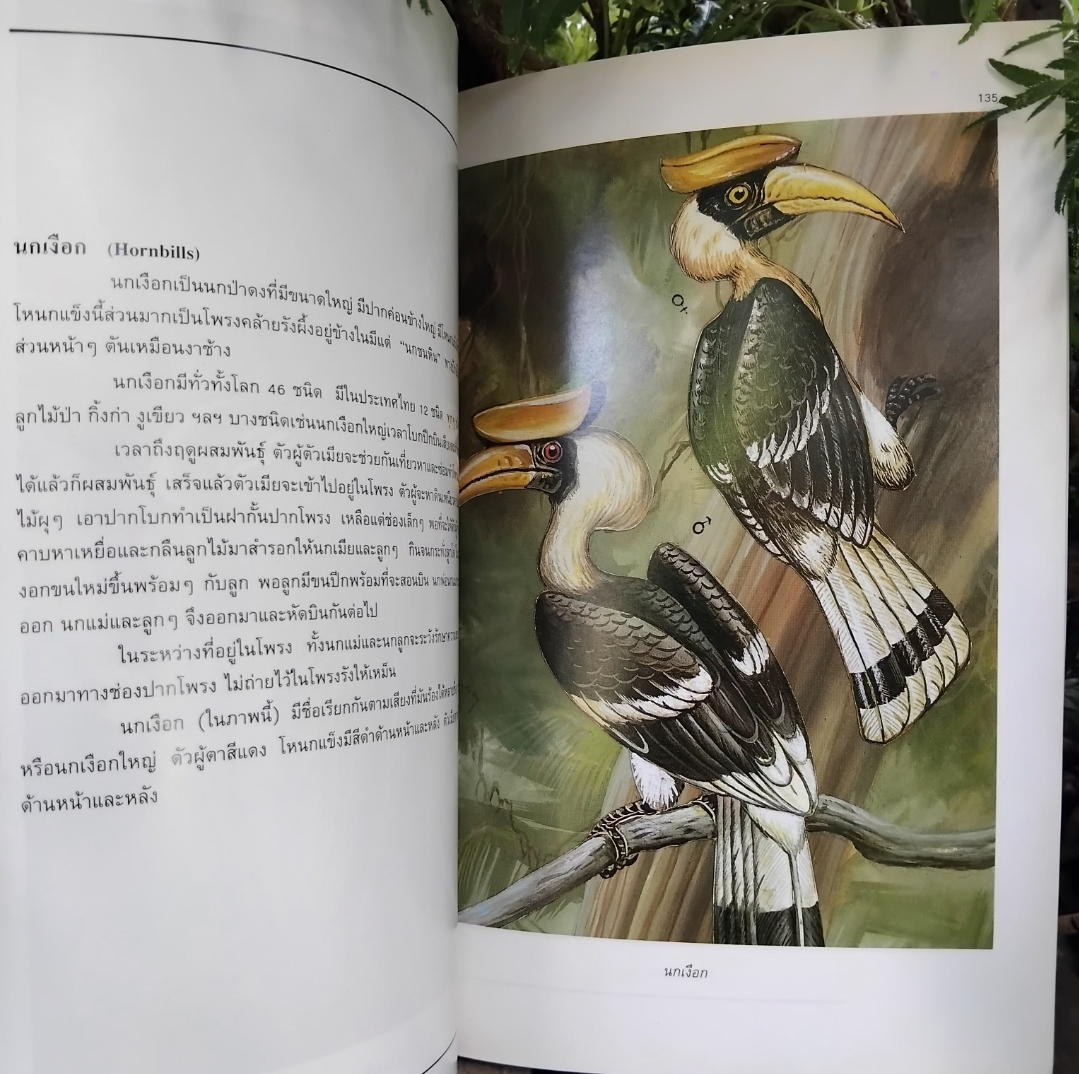 นกสามถิ่น ของ น.พ. บุญส่ง เลขะกุล สุดยอดหนังสือนกหายากอีกเล่ม มีตราปั๊มบางๆ 3 แผ่น สภาพแทบมือ1