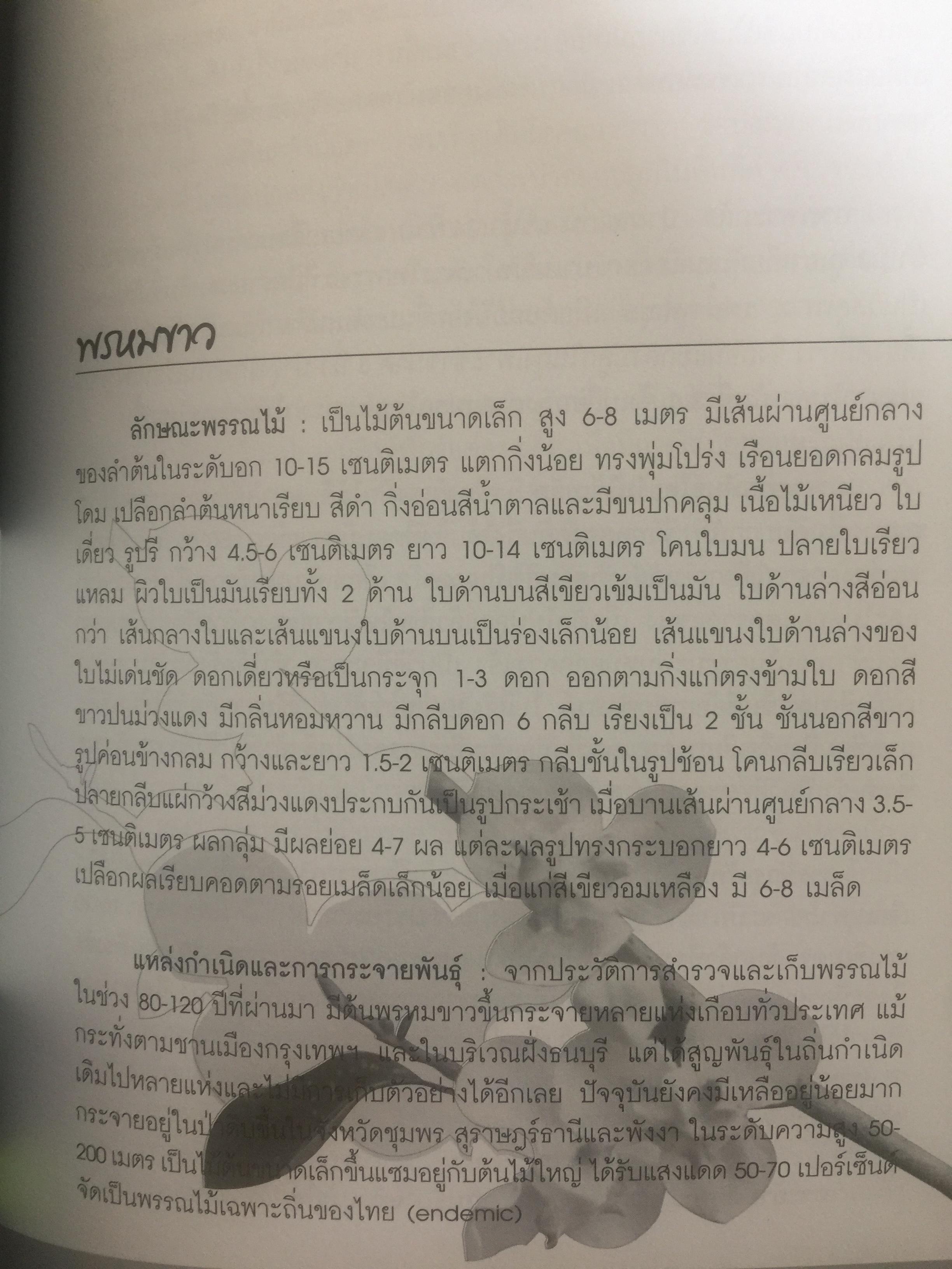 พรรณไม้ดอกหอมพื้นเมือง. ที่หายากและใกล้สูญพันธุ์ในประเทศไทย. ผู้เขียน ดร.ปิยะ เฉลิมกลิ่น 0 กก.