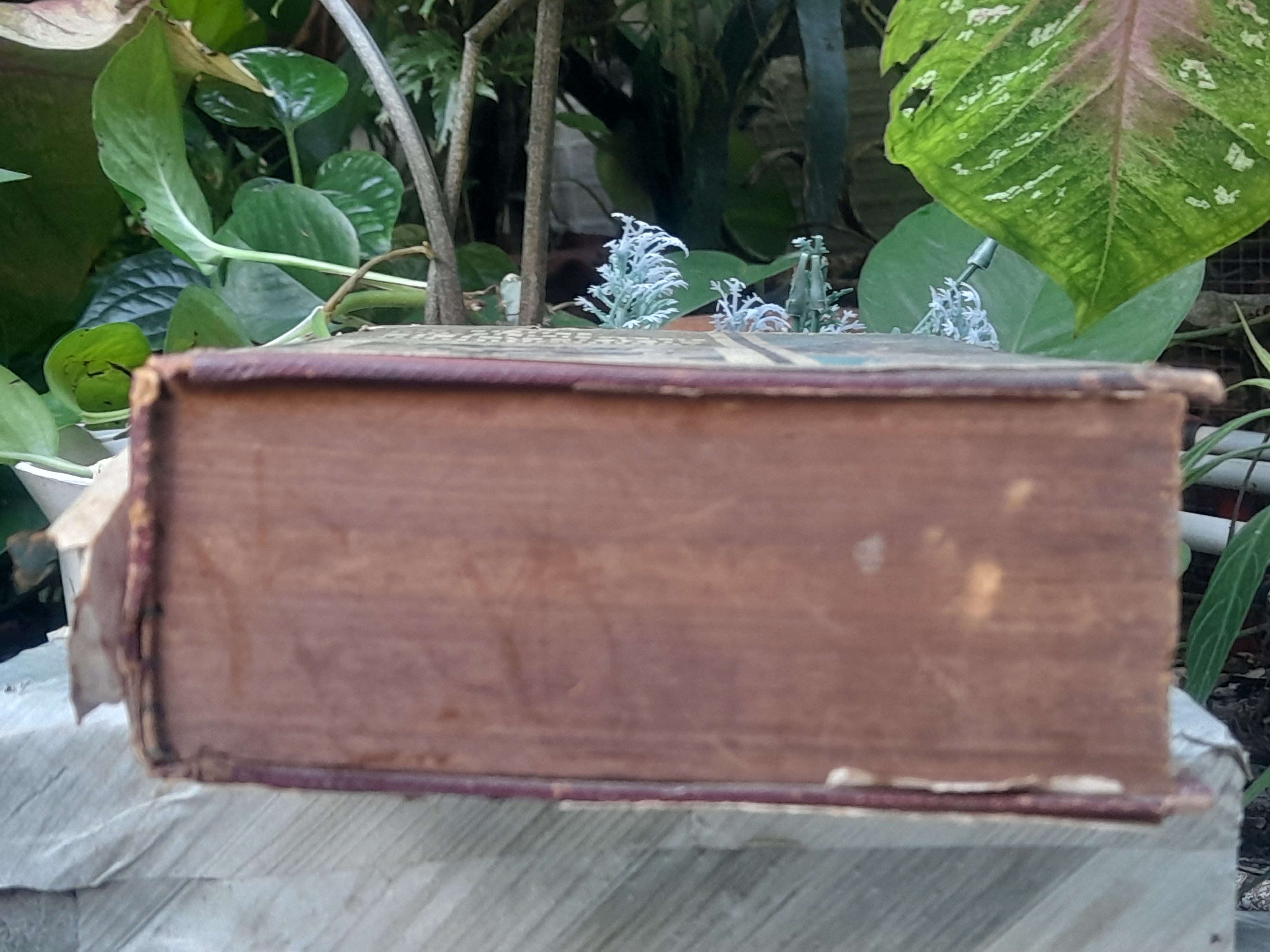 ประเพณีและวัฒนธรรมเมืองเหนือ (เที่ยวเมืองเหนือ) โดย สงวน โชติสุขรักษ์ เสน่ห์ ในประเพณีและวัฒนธรรมของเมืองเหนือ ที่น่าสนใจและหาอ่านได้ยาก