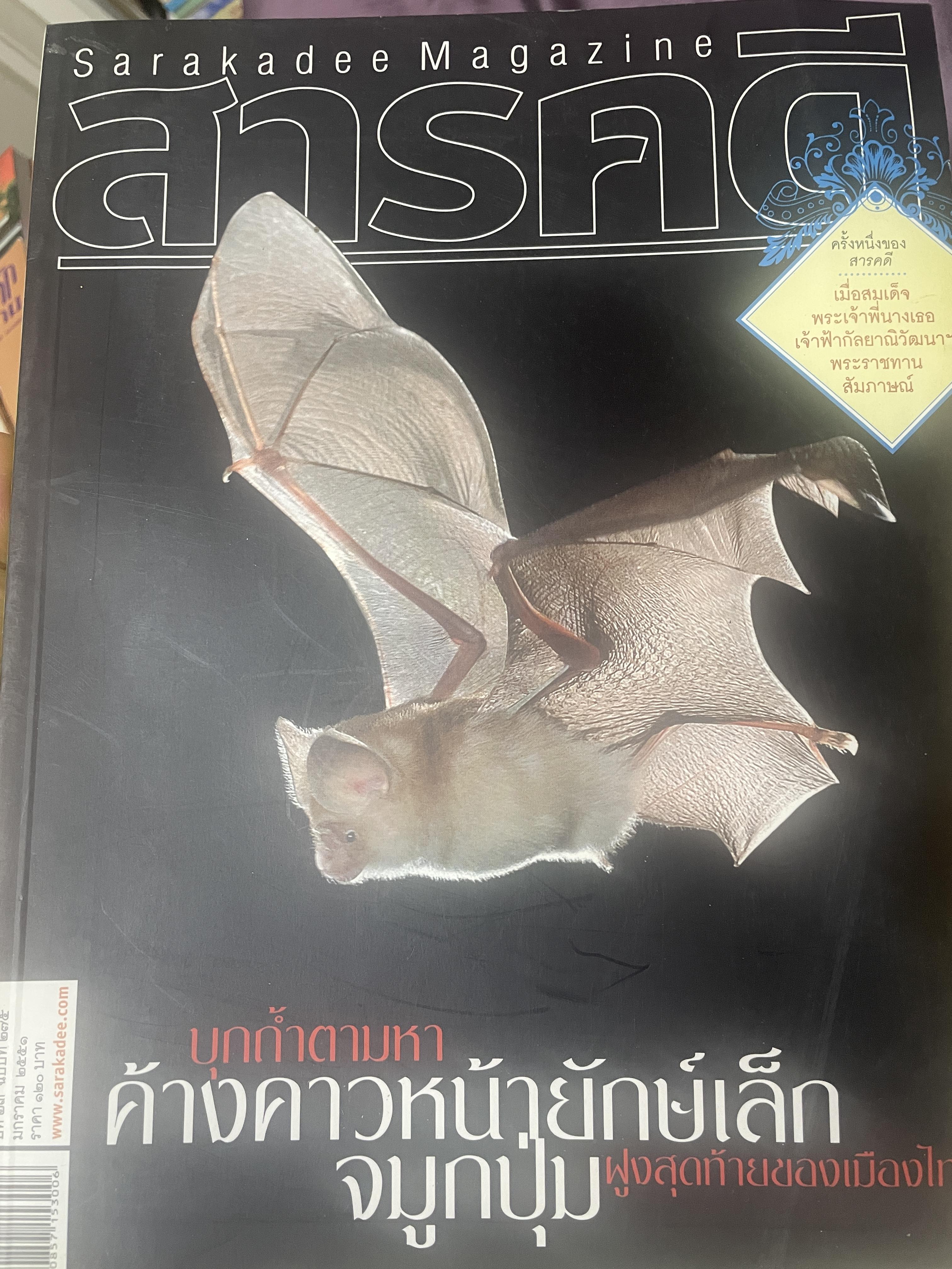 บุกถ้ำตามหา ค้างคาวหน้ายักษ์เล็ก 3 กก.