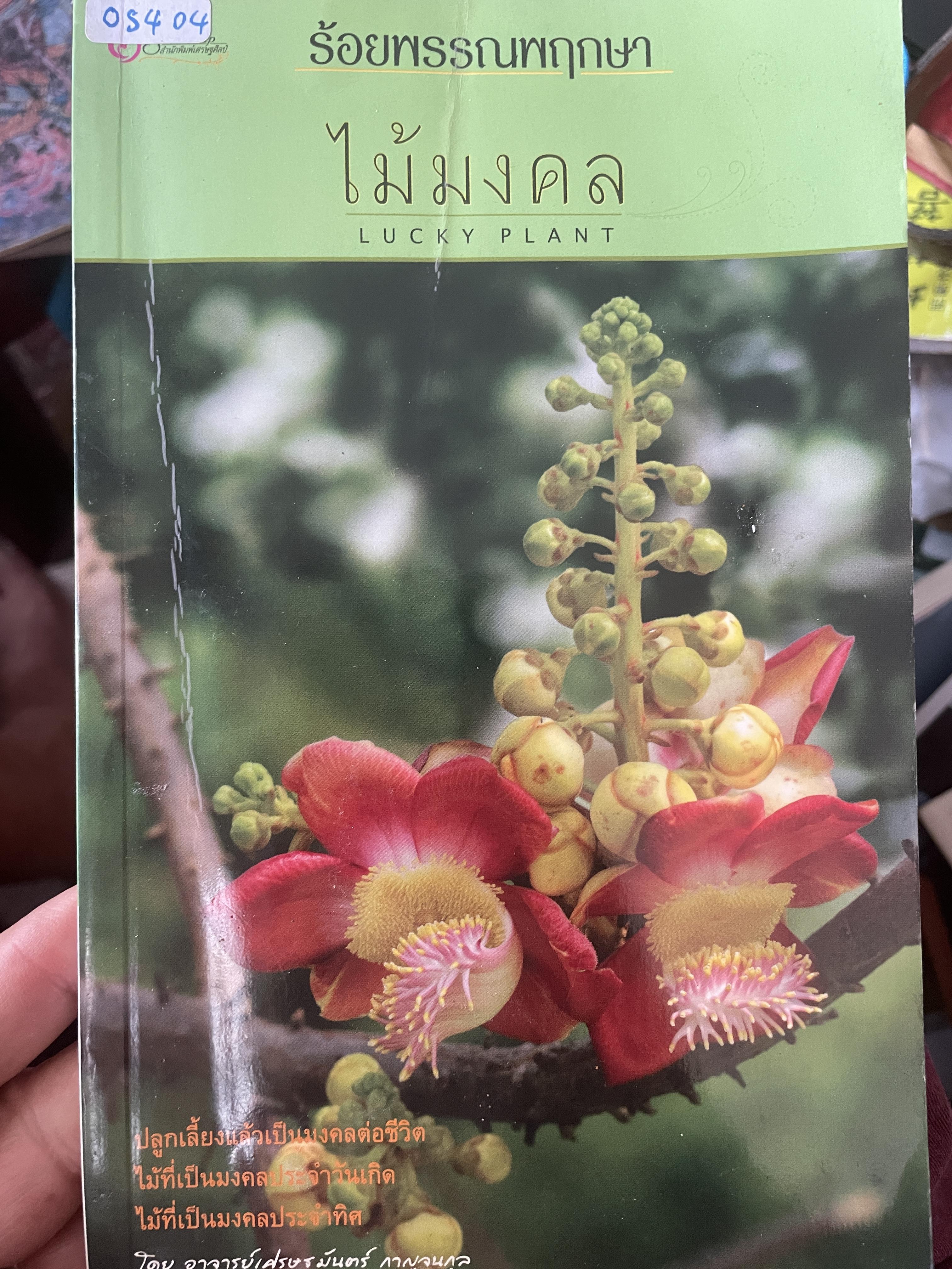 ไม้มงคล 700 กรัม