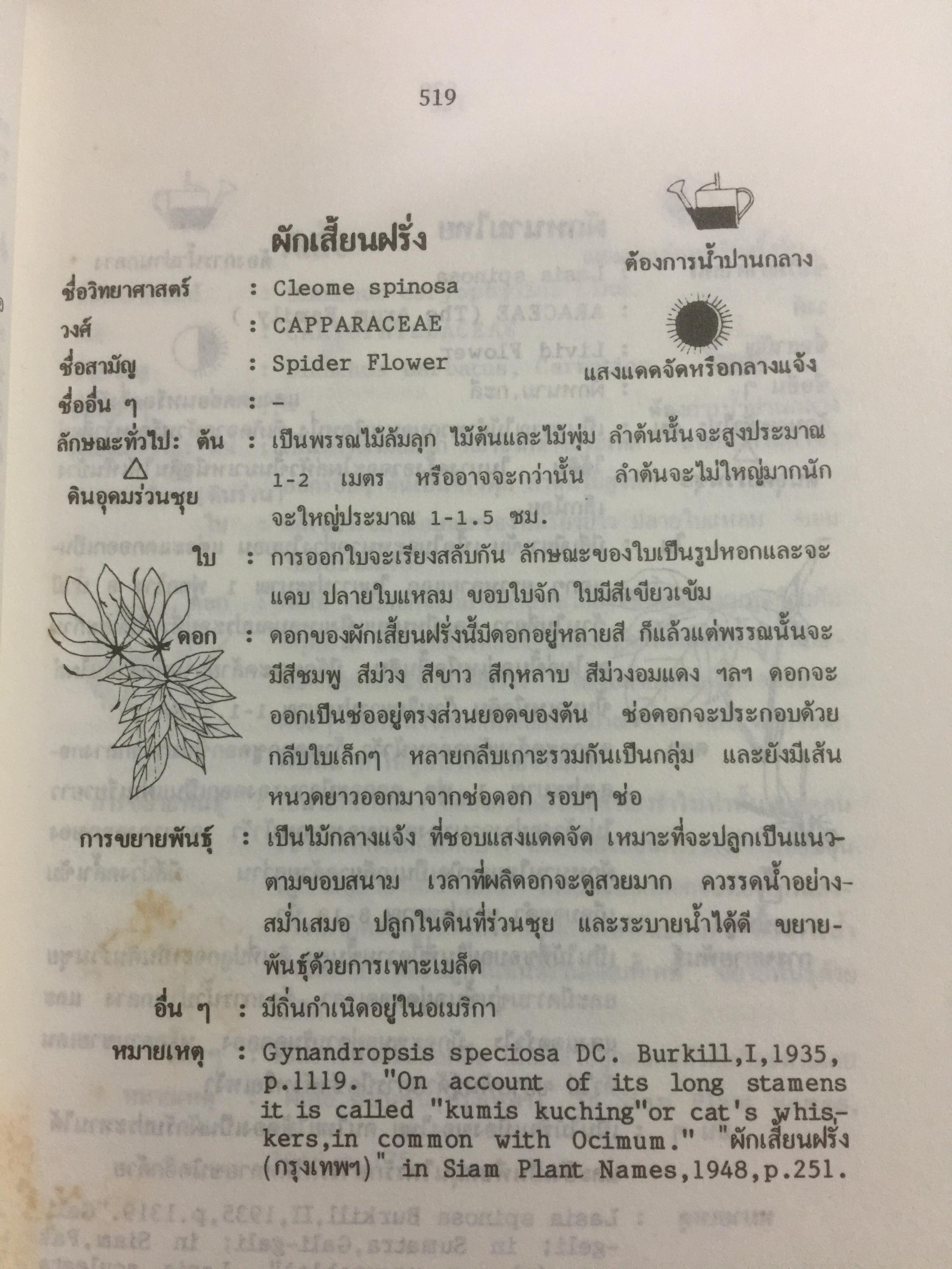 พจนานุกรม ไม้ดอกไม้ประดับในประเทศไทย. ผู้เขียน ดร.วิทย์ เที่ยงบูรณธรรม 0 กก.