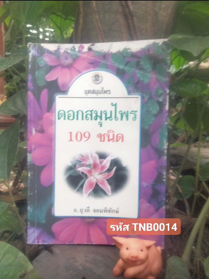 ตำราดอกสมุนไพร 109 ชนิด สรรพคุณเยี่ยม