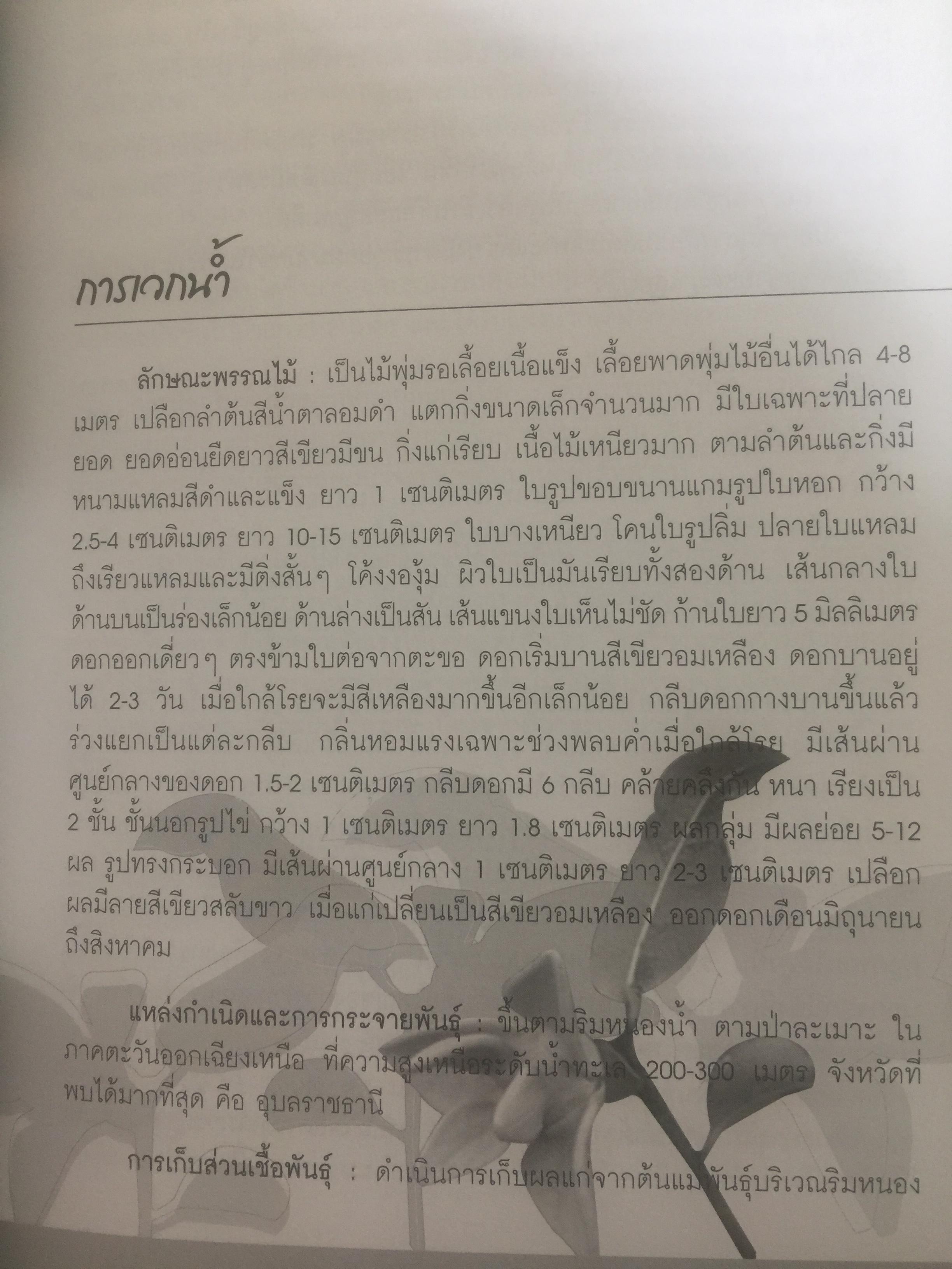 พรรณไม้ดอกหอมพื้นเมือง. ที่หายากและใกล้สูญพันธุ์ในประเทศไทย. ผู้เขียน ดร.ปิยะ เฉลิมกลิ่น 0 กก.