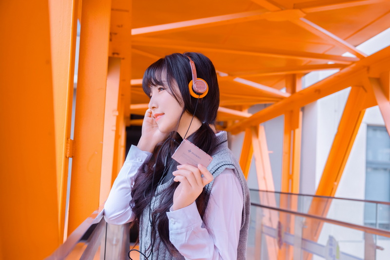 Snowsky Wind หูฟังครอบหูขนาดเล็ก สไตล์ย้อนยุค ไดรเวอร์ไดนามิก สวมใส่สบาย ประกันศูนย์ไทย
