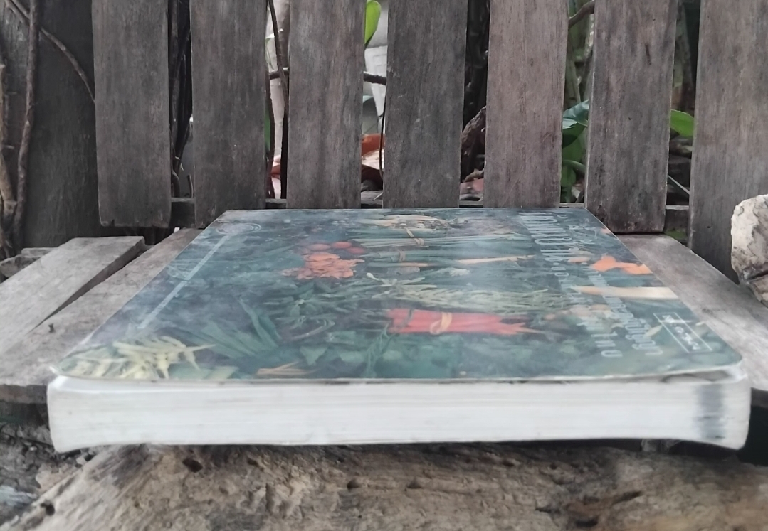 ผักพื้นบ้าน ความหมายและภูมิปัญญาของสามัญชนไทย กำเนิดผักพื้นบ้าน ชนิด-ประโยชน์ทางยา สูตรปรุงอาหาร สะสม