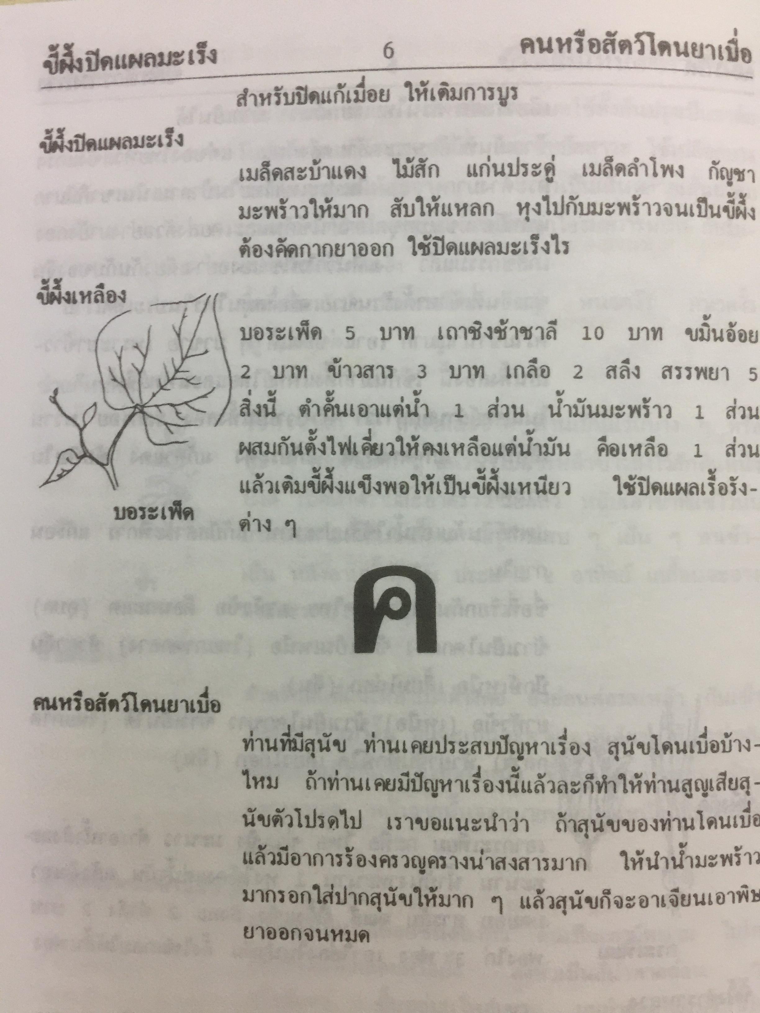 พจนานุกรม สมุนไพรไทย.(ฉบับสรรพคุณยาไทย) โดย ดร.วิทย์ เที่ยงบูรณธรรม 0 กก.