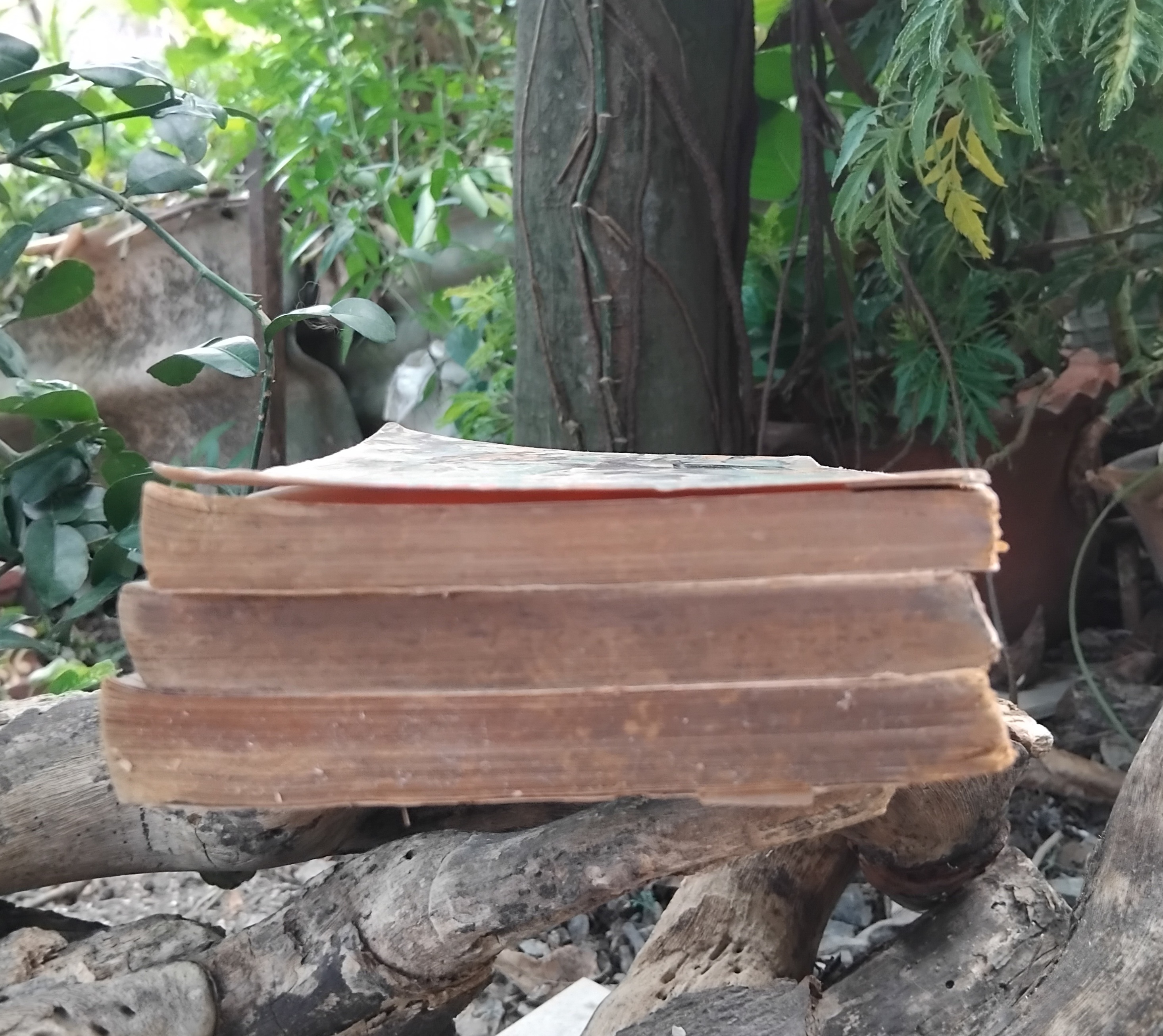 รวมหนังสือแนววรรณกรรมเยาวชนแปล ของ ท.ว.พ. ปกเก่า น่าอ่าน น่าสะสมครับ