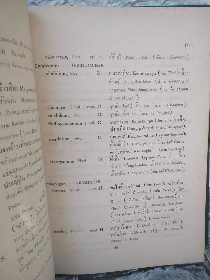 พรรณไม้แห่งประเทศไทย ชื่อพฤกษศาสตร์-ชื่อพื้นเมือง