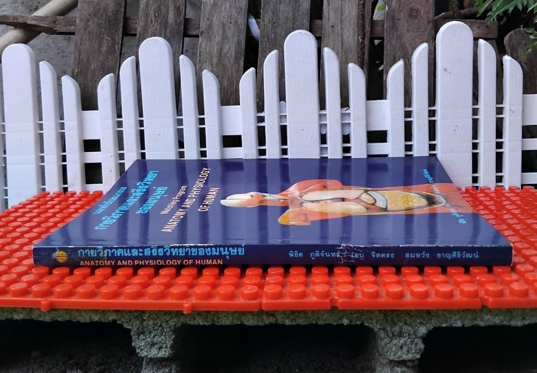แมทชิ่งโปรแกรม กายวิภาคและสรีรวิทยาของมนุษย์ โดย พิชิต ภูติจันทร์ แนวคิดหลัก-แบบทดสอบ-เฉลย มือ1