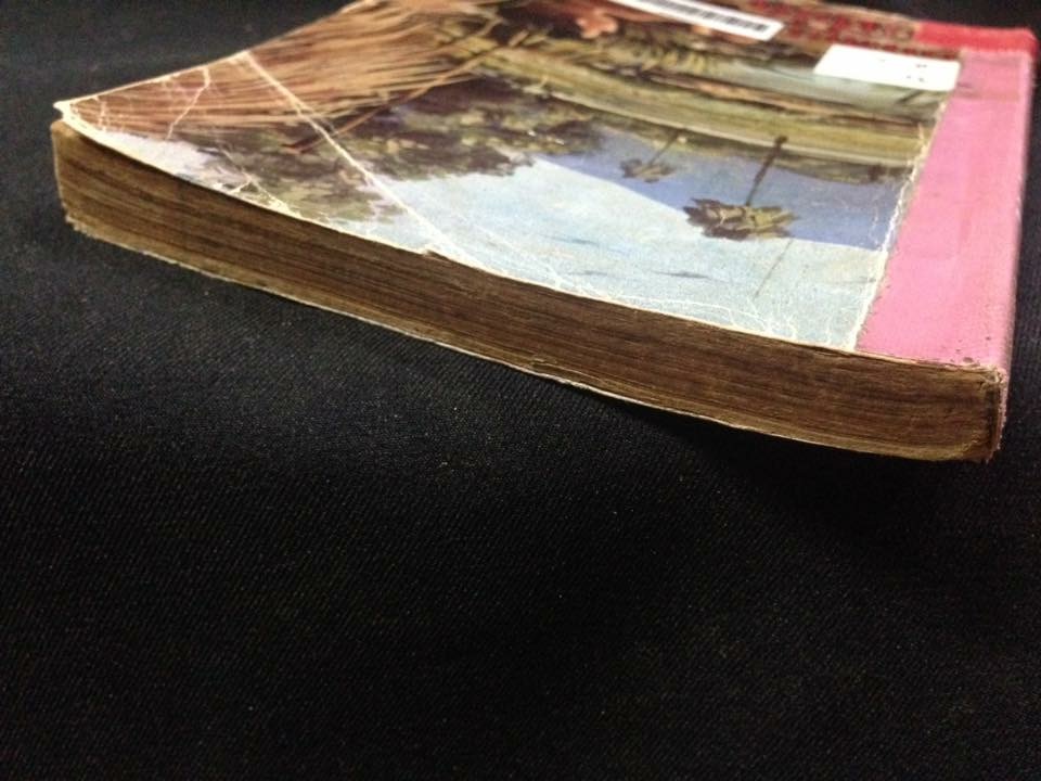 แผ่นดินนี้เป็นที่รัก