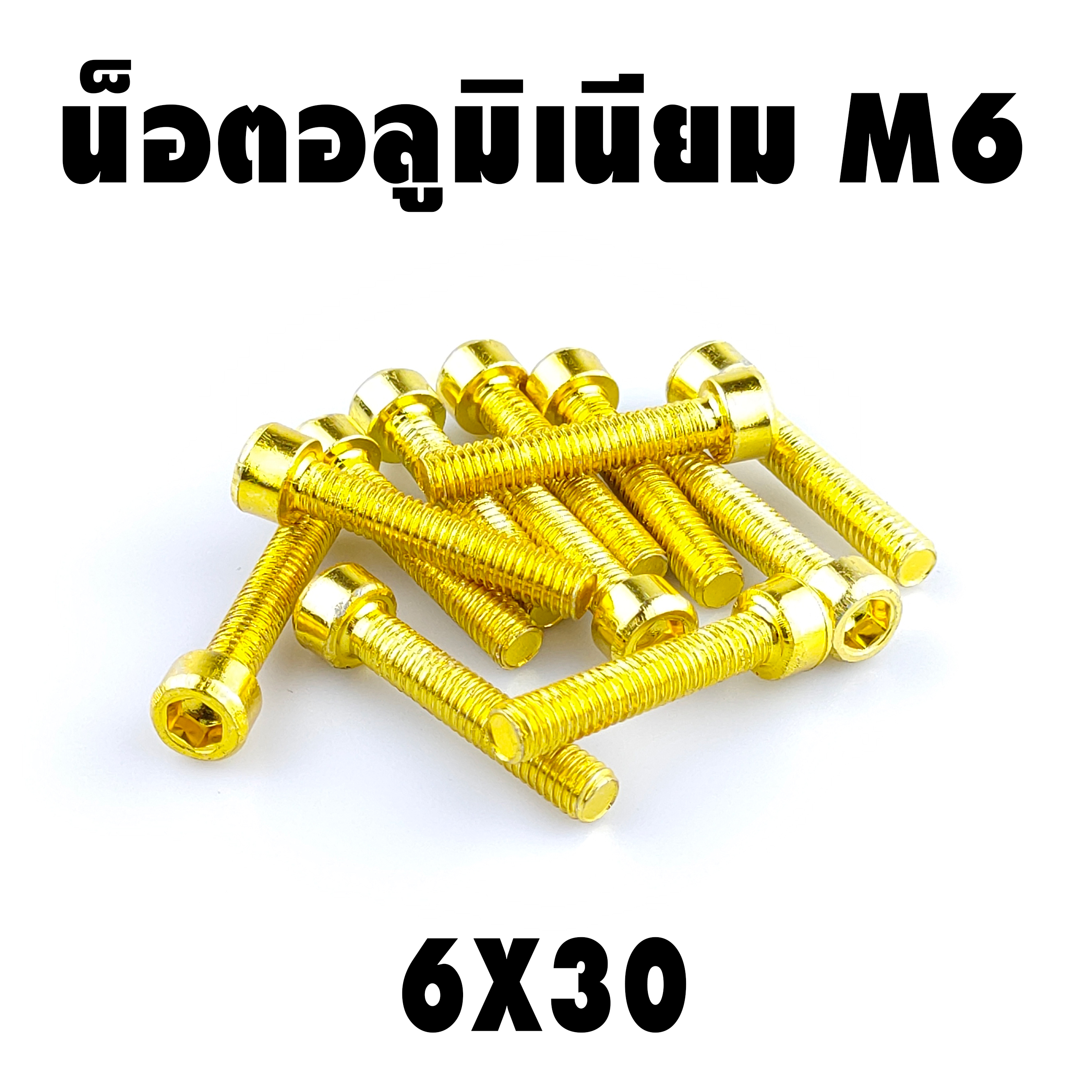 น็อตแต่ง อลูมิเนียม 6*30 (เบอร์ 10) ชุดละ 10 ตัว ราคา 100 บาท