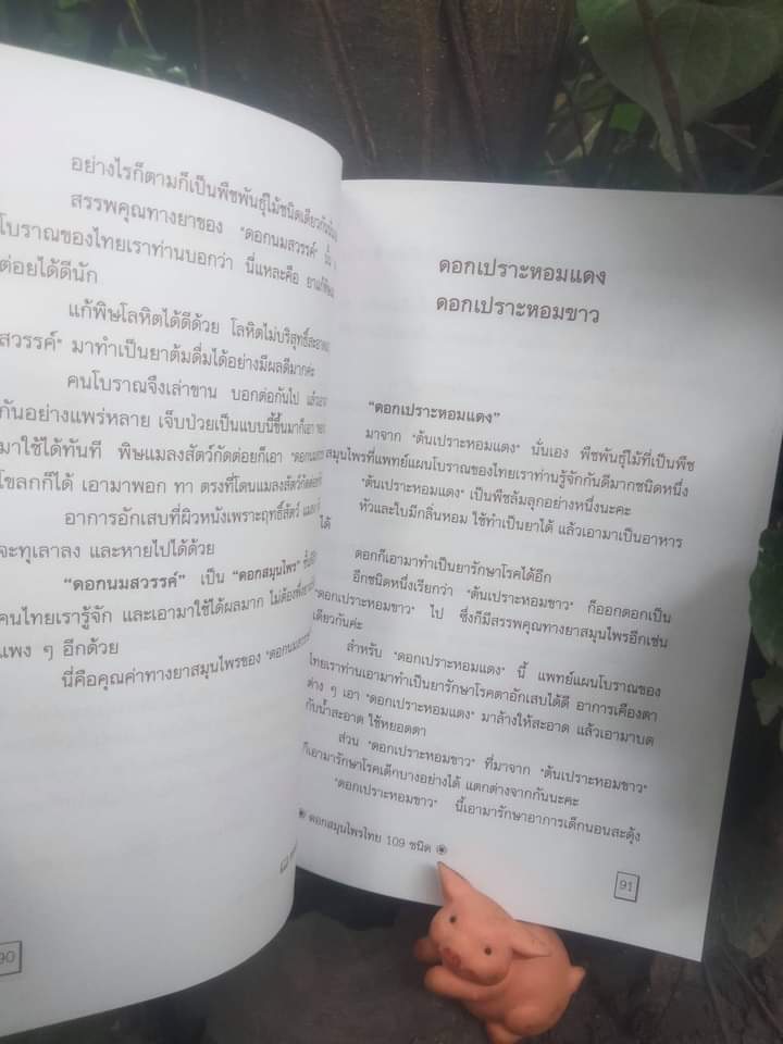 ตำราดอกสมุนไพร 109 ชนิด สรรพคุณเยี่ยม