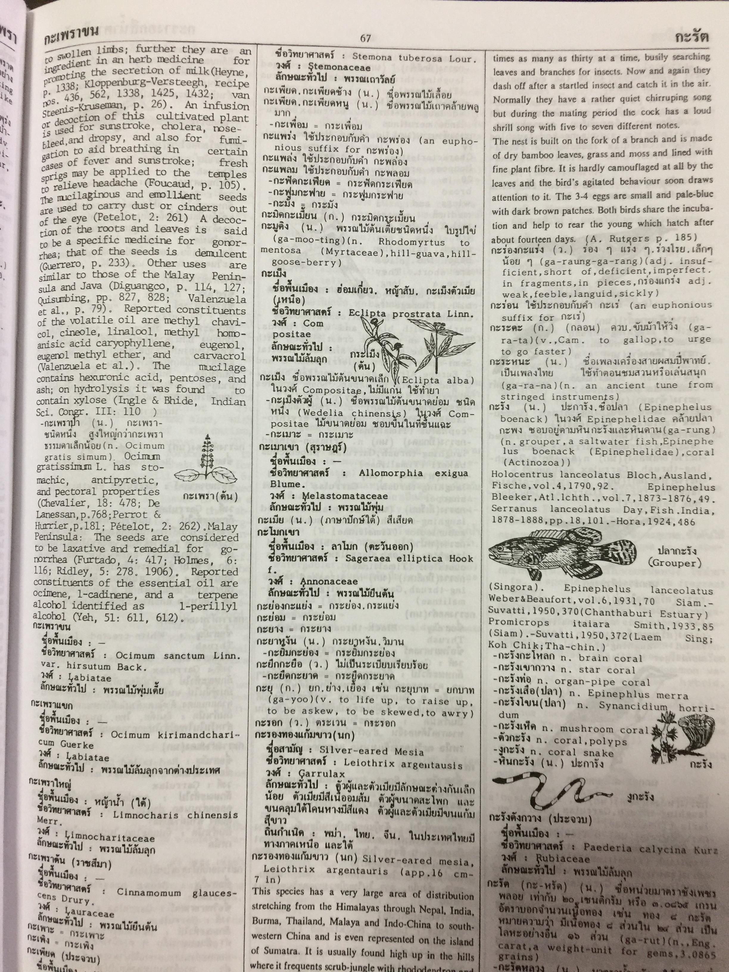 พจนานุกรม ไทย-อังกฤษ (ฉบับห้องสมุด) Thai-English Dictionary ( Library Edition ) จุคำศัพท์มากที่สุด จุความหมายสำคัญมากที่สุด จุภาพอธิบายมากที่สุด. โดยศ.ดร.วิทย์ เที่ยงบูรณธรรม 0 กก.