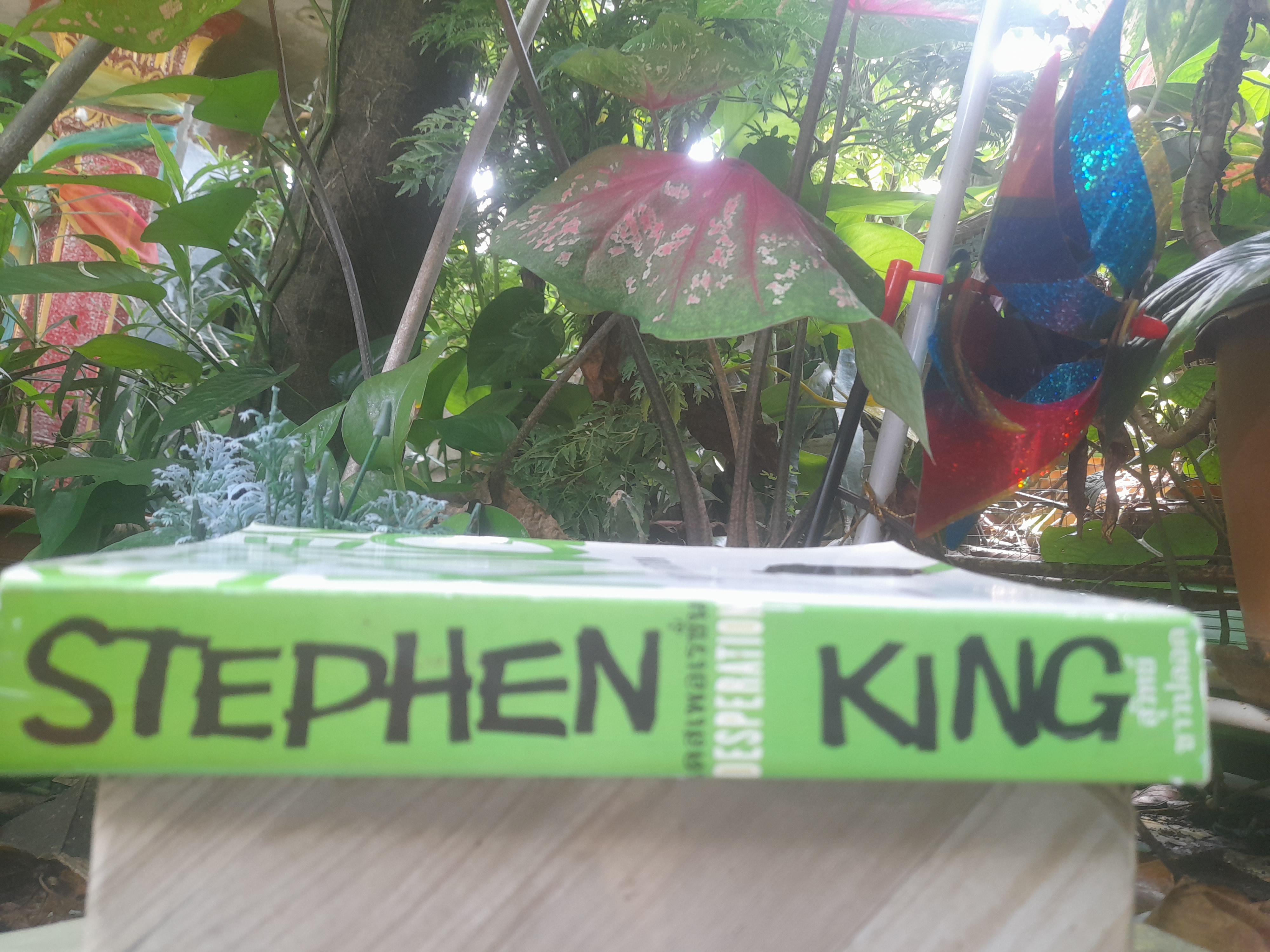 DESPERATION เดสเพอเรชั่น ของ STEPHEN KING แปลโดย สุวิทย์ ขาวปลอด หนังสือสะสม