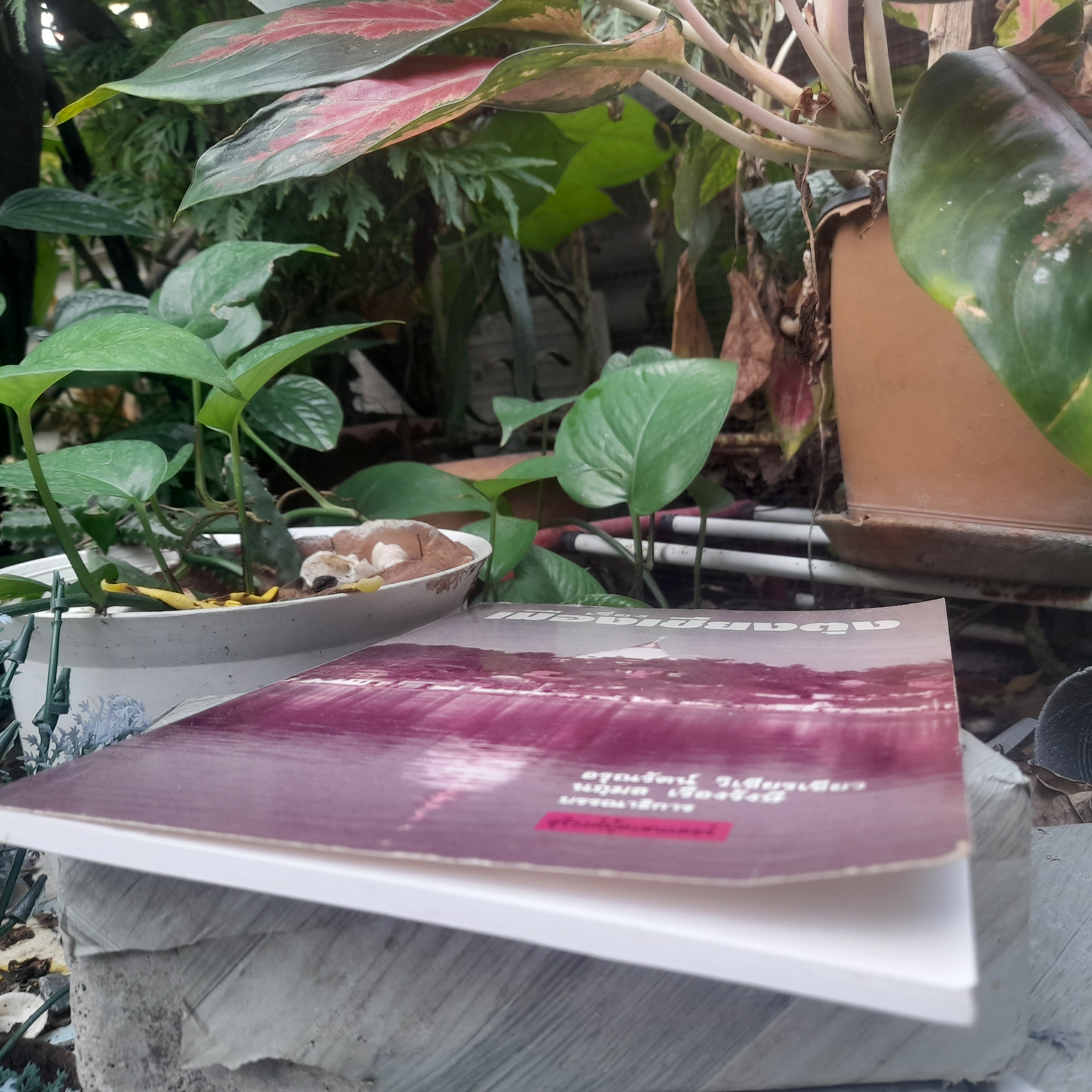 เรื่องเมืองเชียงตุง โดย อรุณรัตน์ วิเชียรเขียว ความเป็นอยู่ ประเพณี ประวัติศาสตร์ หนังสือมือหนึ่งครับ