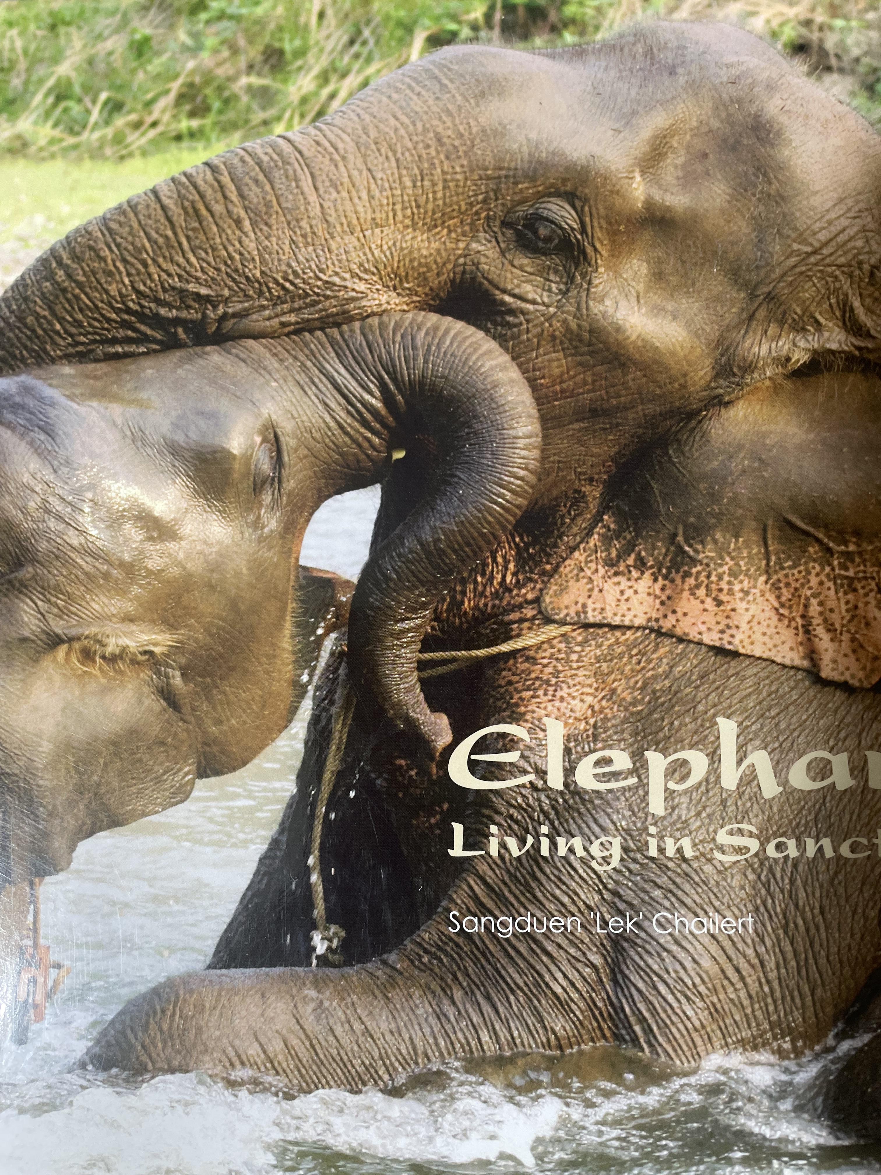 Elephants Living in Sanctuary 3 กก.