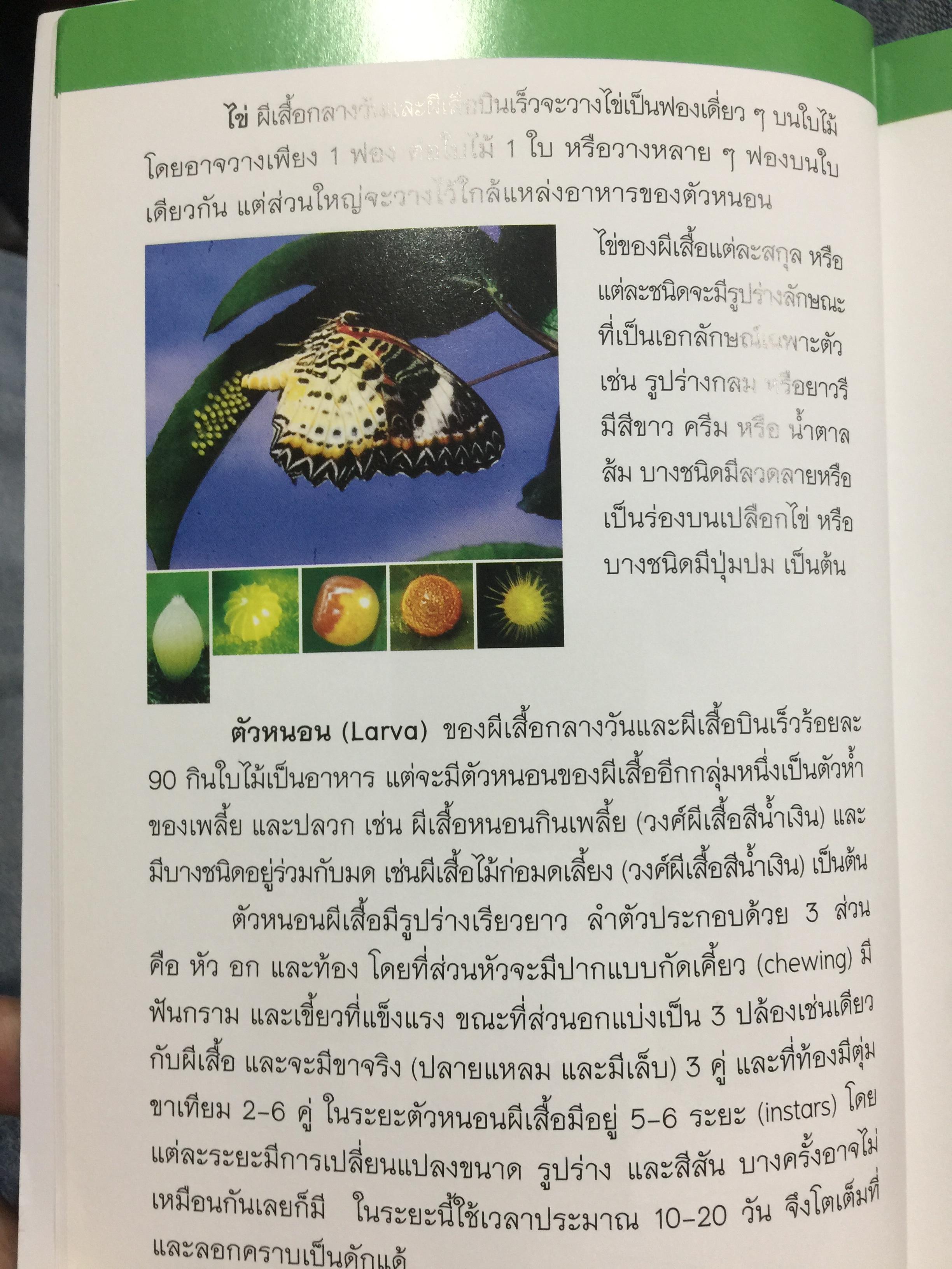 บันทึกผีเสื้อ 2. BUTTERFLIES AND SKIPPERS จัดทำโดย สำนักวิจัยการอนุรักษ์ป่าไม้และพันธุ์พืช กรมอุทยานแห่งชาติ สัตว์ป่าและพันธุ์พืช 0 กก.
