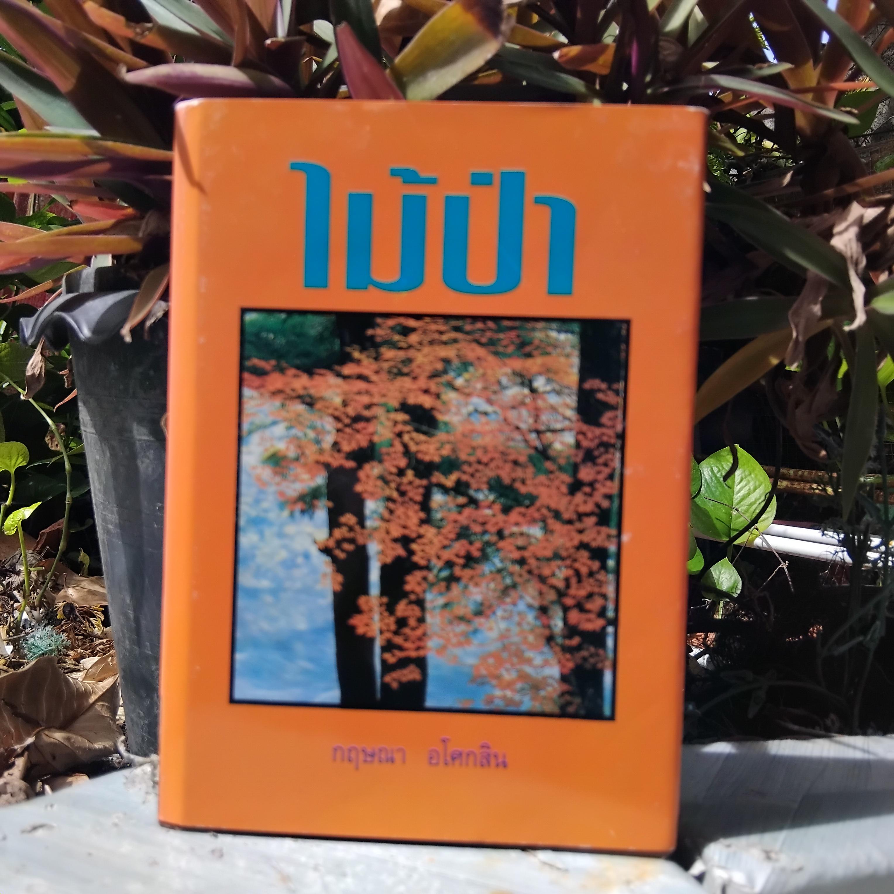 รวมนวนิยายของ กฤษณา อโศกสิน หนังสือมือหนึ่ง นอกซีล