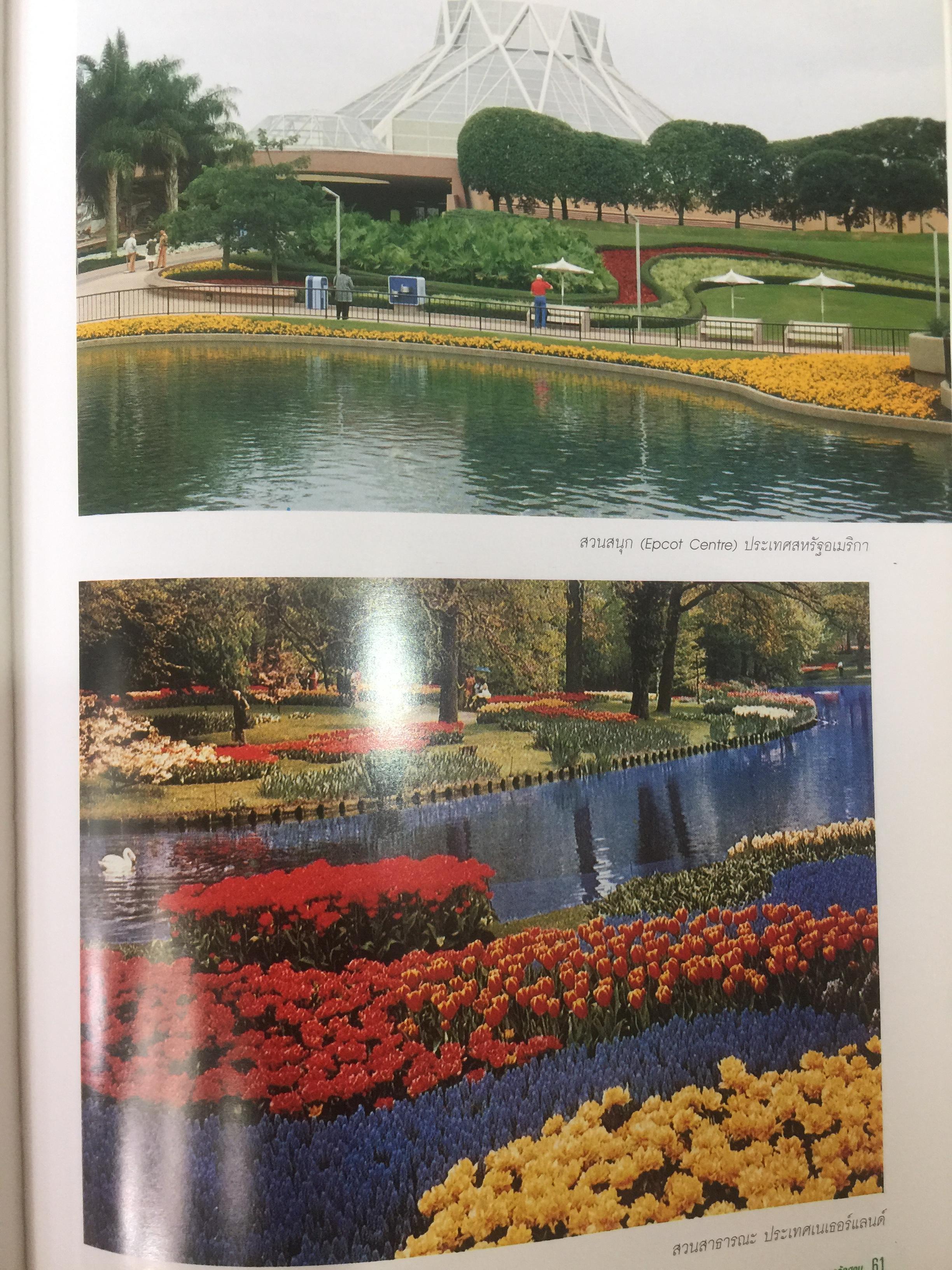 การจัดสวน GARDEN DESIGN ผู้เขียน พรรณเพ็ญ ฉายปรีชา. สำนักพิมพ์บ้านและสวน. 0 กก.