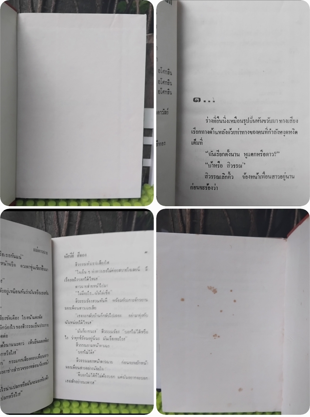 รวมผลงานของ ทัศนีย์ สีทอง นวนิยายไทย หนังสือมือ 1 ทุกเล่ม ไม่มีตำหนิ