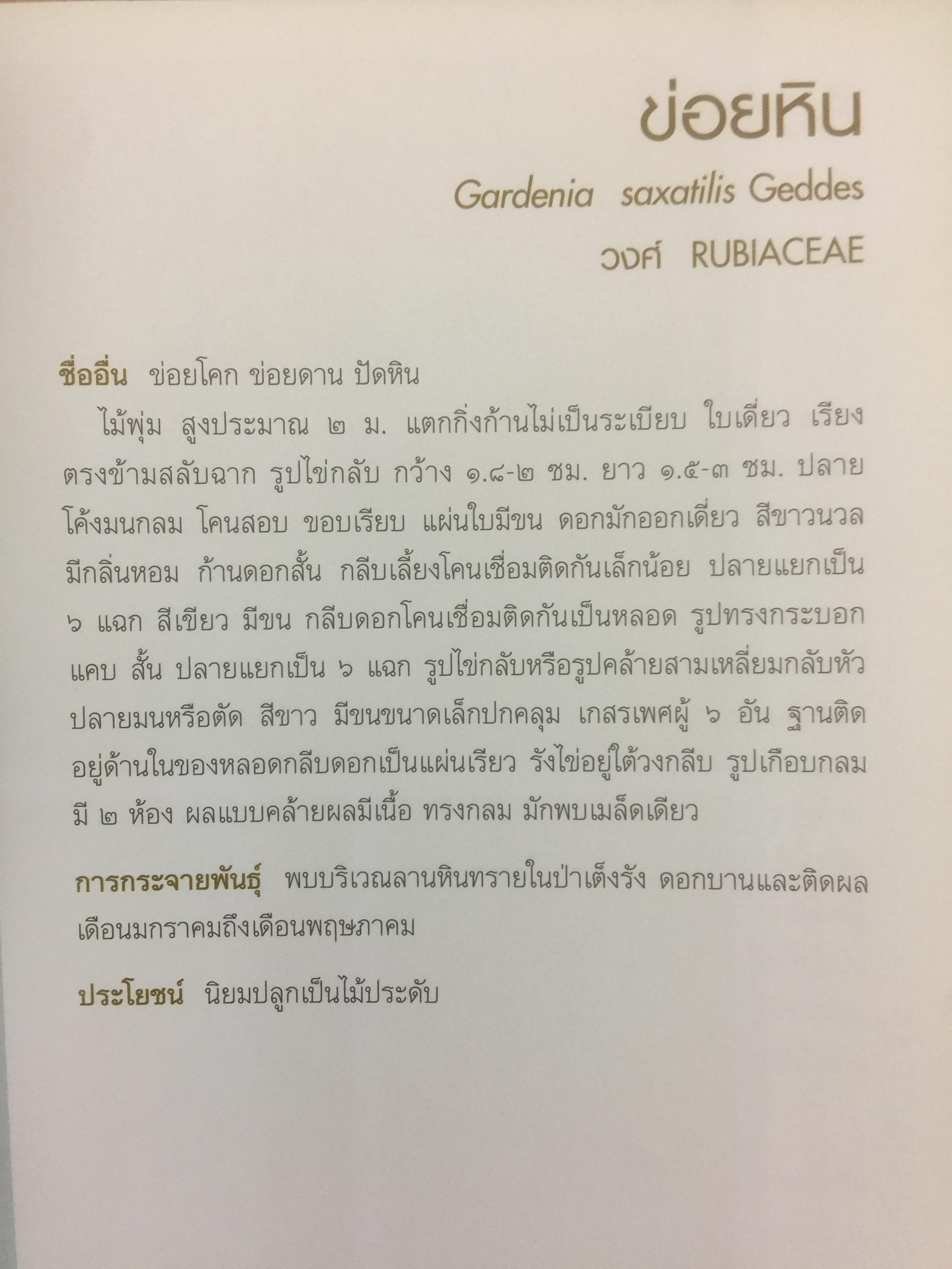 พรรณไม้พื้นเมืองไทย จากเขาใหญ่สู่ลำน้ำโขง ผู้จัดทำ กรมวิชาการเกษตร 0 กก.