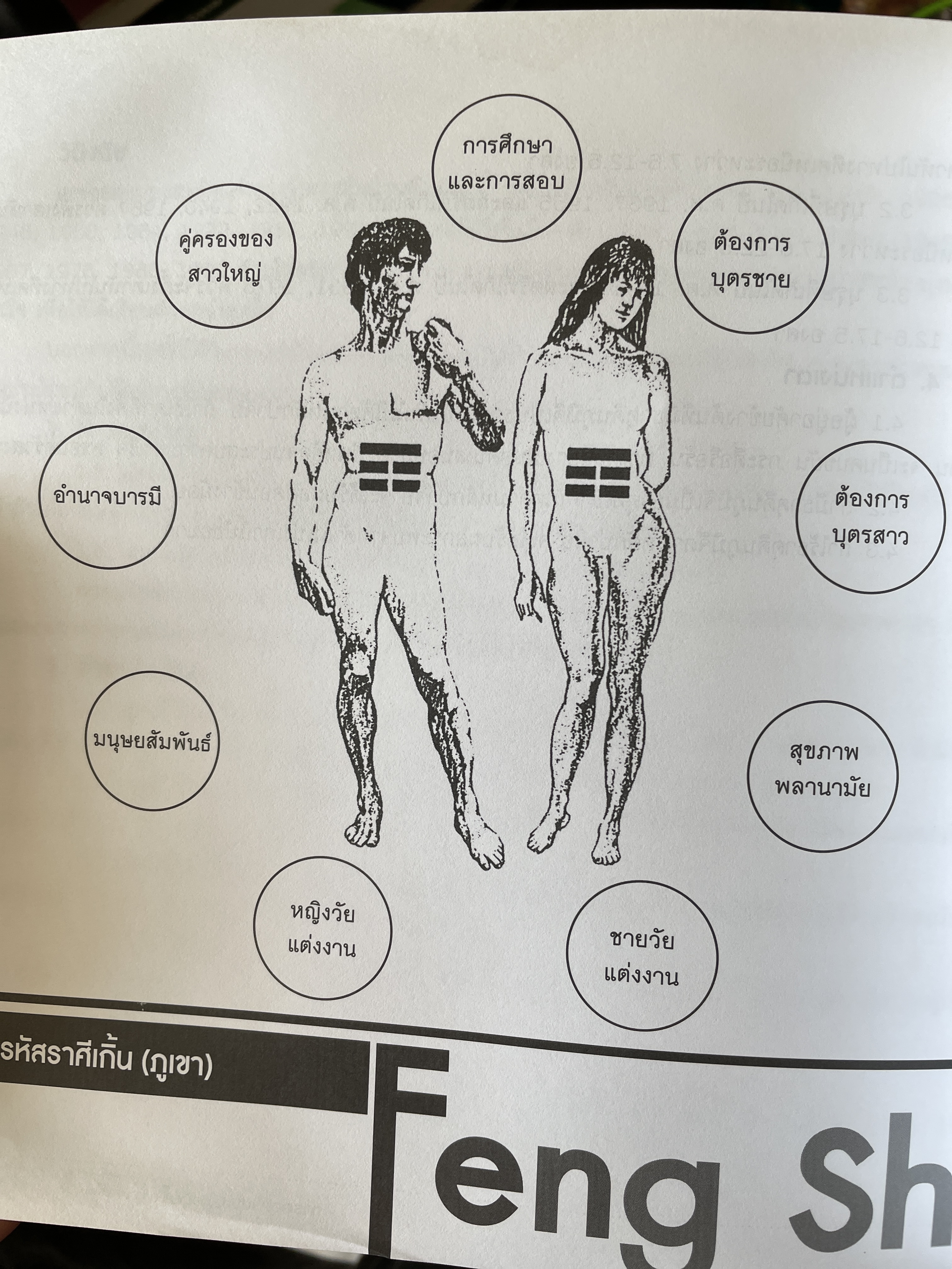 ฮวงจุ้ย ฉบับสมบูรณ์ ศาสตร์แห่งความสำเร็จ การออกแบบฮวงจุ้ยบ้าน เพื่อความสำเร็จในชีวิต CHINESE GEOMANCY. พลิกโชคชะตาให้ดีขึ้นจากคู่มือที่สามารถทำได้ด้วยตนเอง ผู้เขียน หลี่เหยินซุยและคณะ 1,800 กรัม