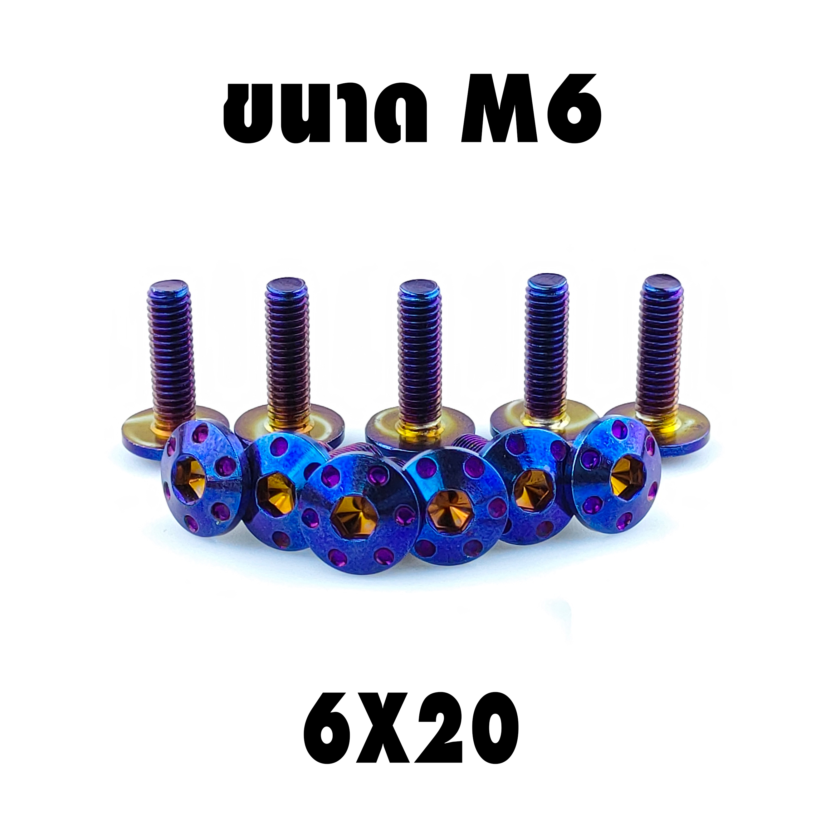 น็อตเลสหัวดอกไม้ (เบอร์10 M6X20)