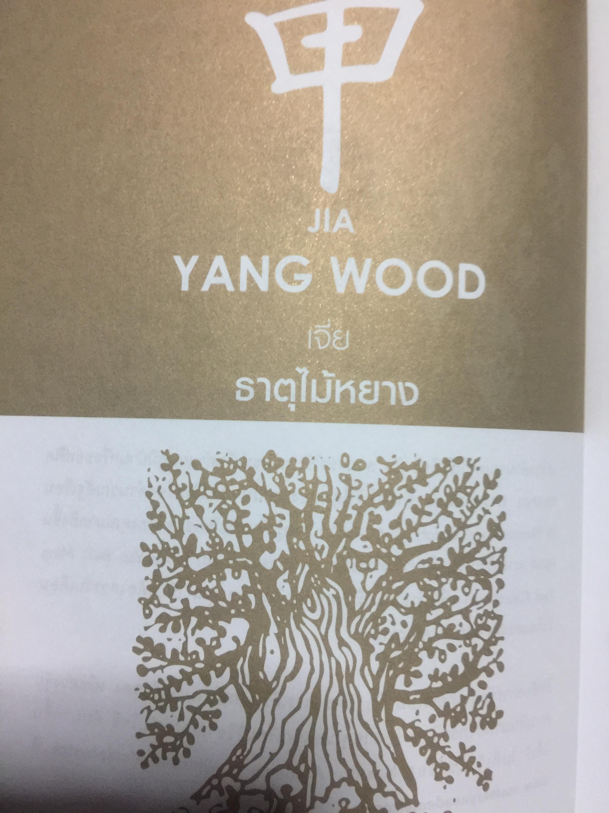 แก่นแท้ปาจื่อ10 วันเจ้าธาตุ. THE TEN DAY MASTER. ผู้เขียน JOEY YAP ผู้แปล อำนวยชัย ปฏิพัทธ์เผ่าพงศ์ 350 กรัม