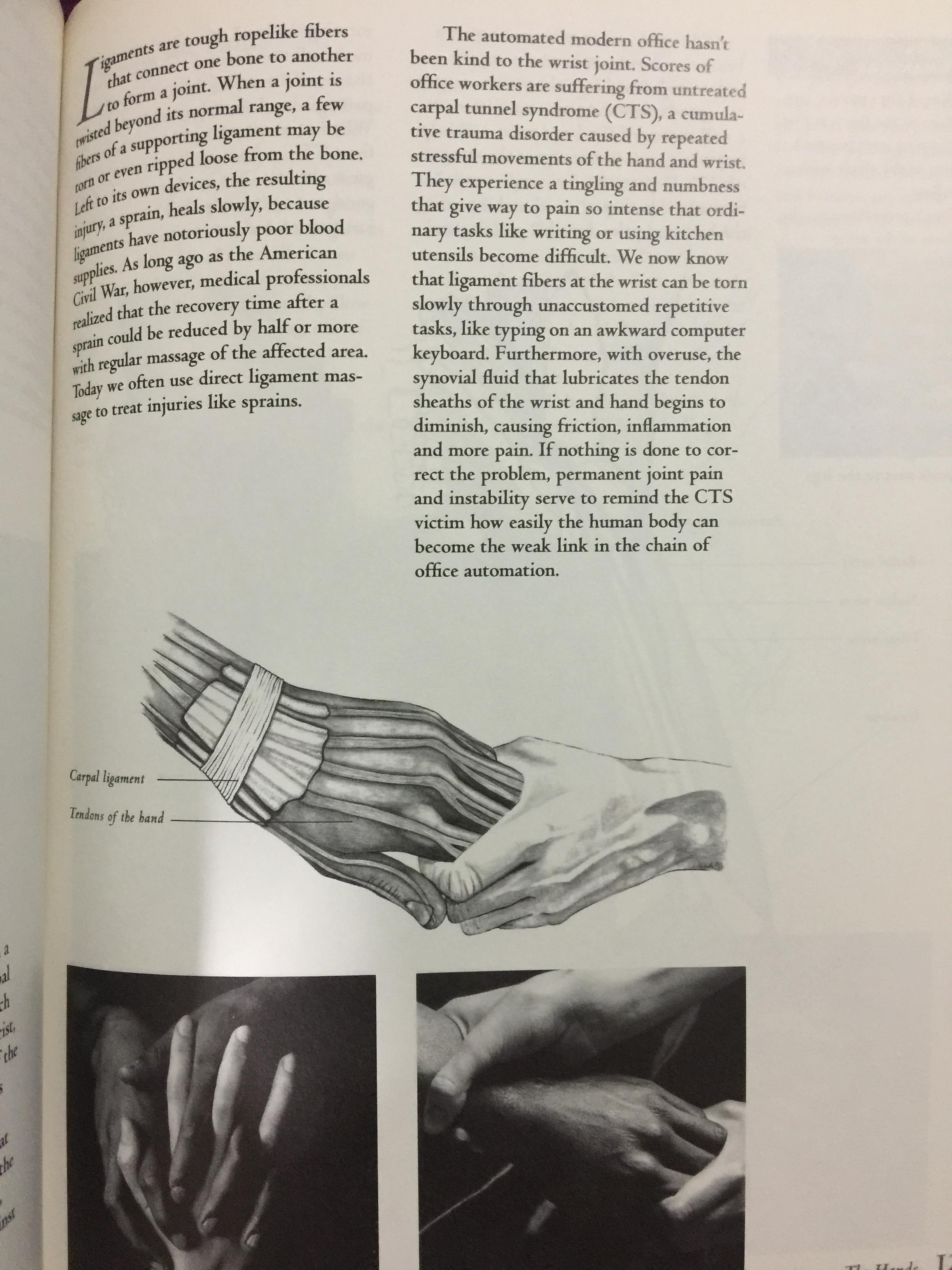 THE NEW SENSUAL MASSAGE Learn to give plea sure with your hands ผู้เขียน Gordon Inkeles Author of The Art of Sensual Massage 0 กก.