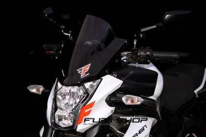 ชิว Ermax Kawasaki ER6N 2012