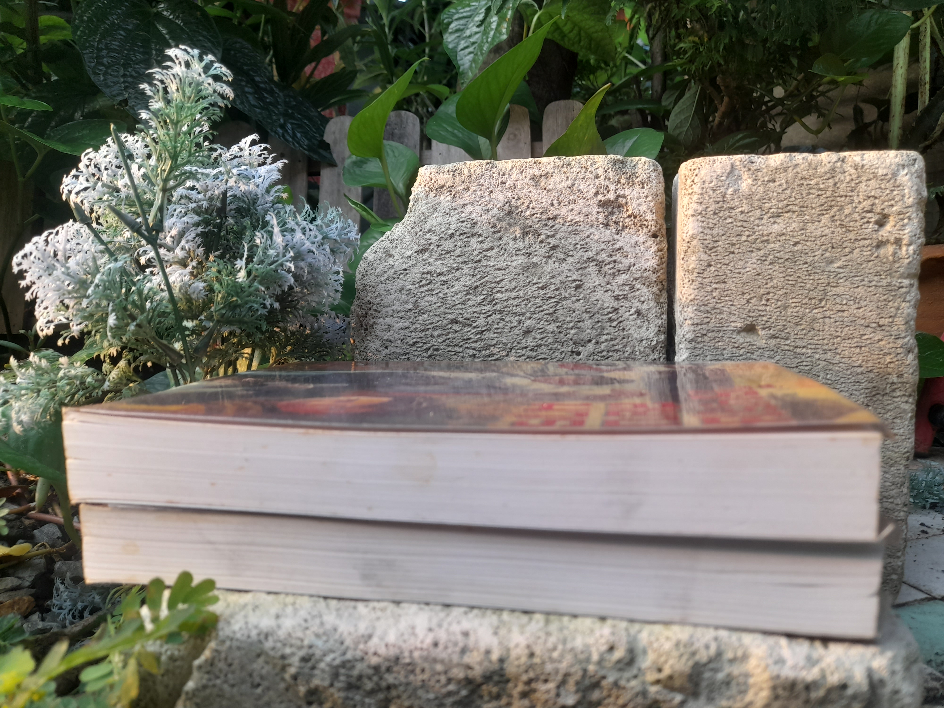 วีรบุรุษสยบมาร 2 เล่มจบ