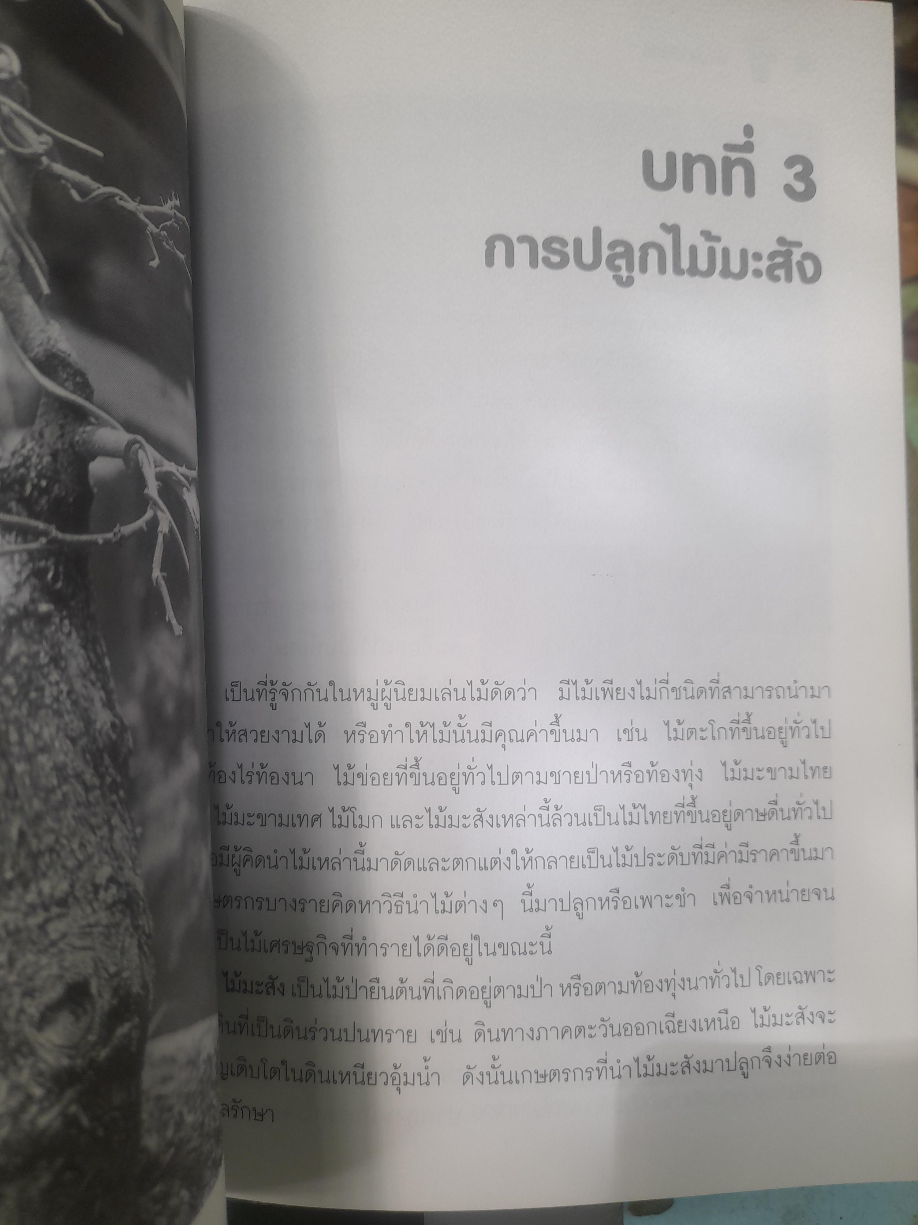 ไม้ดัด การปลูกมะสังดัด โดย ยุพยงษ์ ทิพสิงห์ เนื้อหาละเอียดตั้งแต่เริ่มปลูกจนถึงการดูแลมะสังดัด
