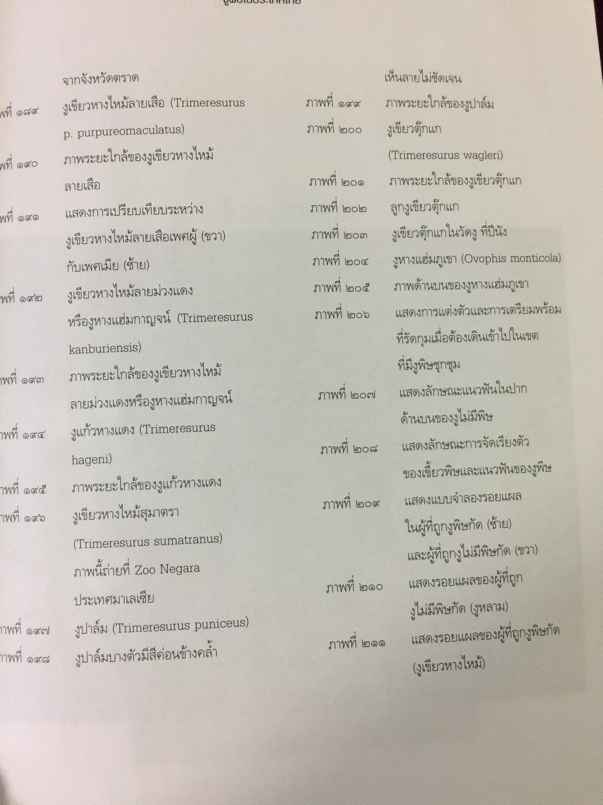 งูพิษ ในประเทศไทย ทุกแง่มุมชีวิตและลักษณะนิสัยของงูพิษ โดยผู้เชี่ยวชาญเรื่องงูมากที่สุดในประเทศไทยผู้เขียน ไพบูลย์ จินตกุล 0 กก.