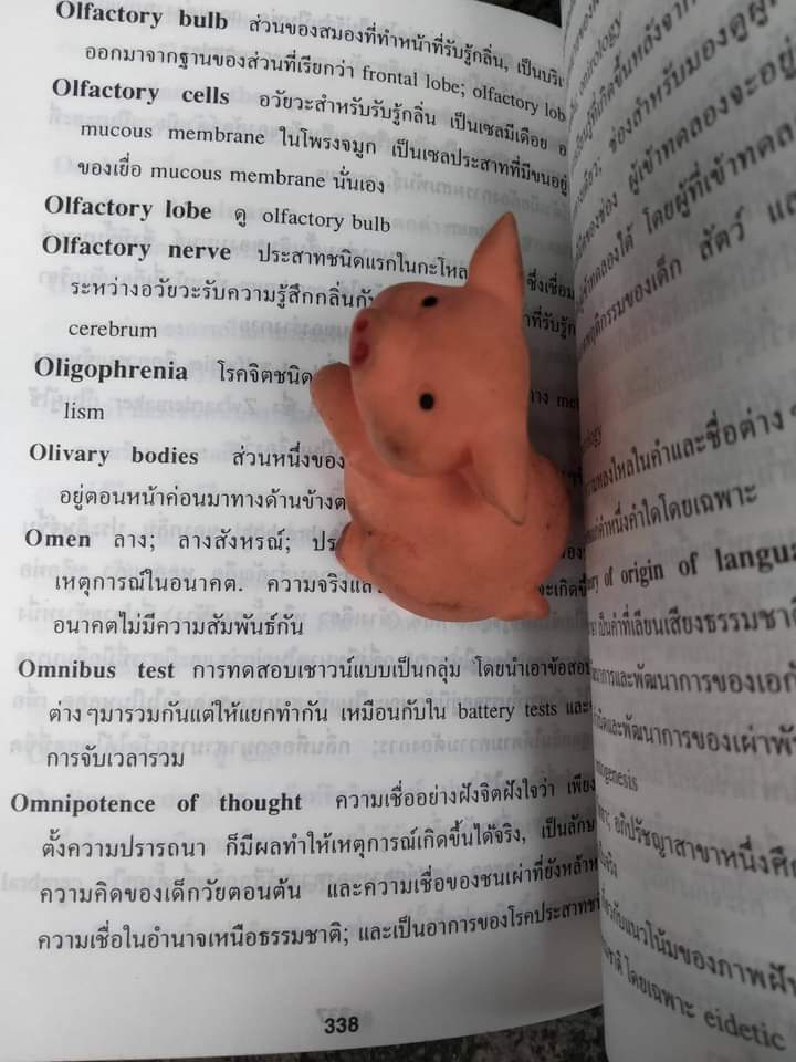 พจนานุกรมจิตวิทยาฉบับสมบูรณ์ Dictionary Psychology ฉบับ อังกฤษ-ไทย