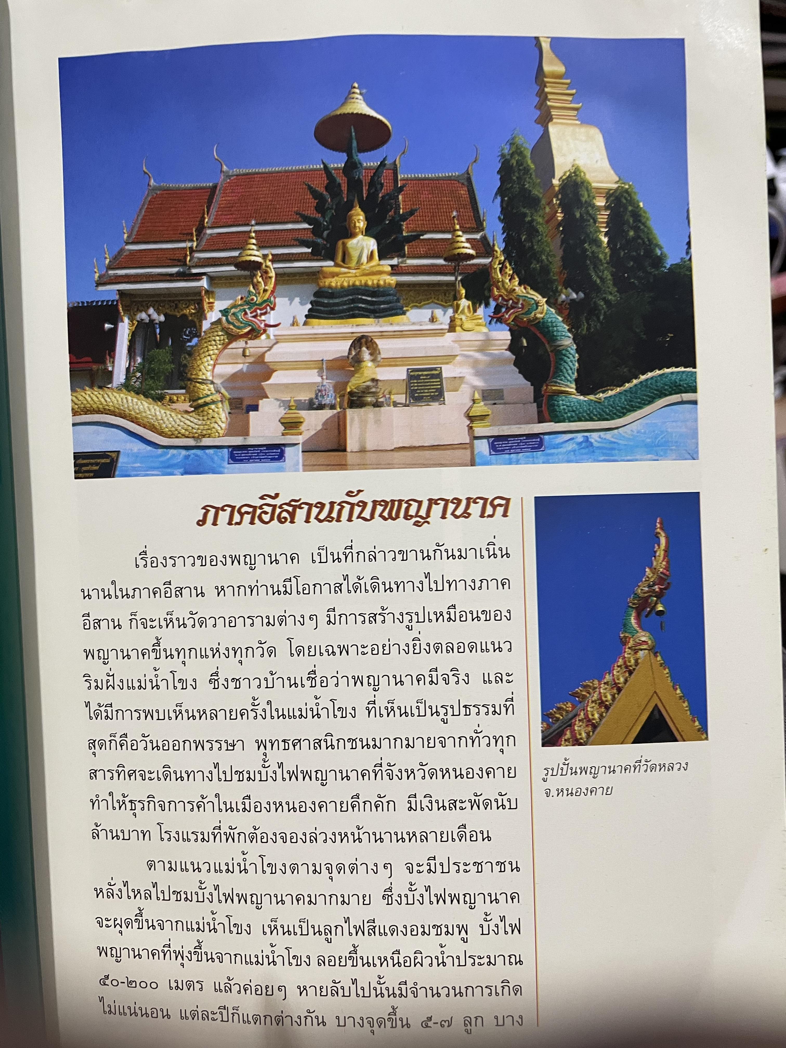อัศจรรย์บั้งไฟพญานาค รวมภาพและประสบการณ์บั้งไฟพญานาค ปาฏิหาริย์แห่งนาคพิภพ (ไม่มีพระผงพญานาคราชที่แจก) ผู้เขียน อาจารย์ทศพล จังพานิชยากุล) 3,500 กรัม