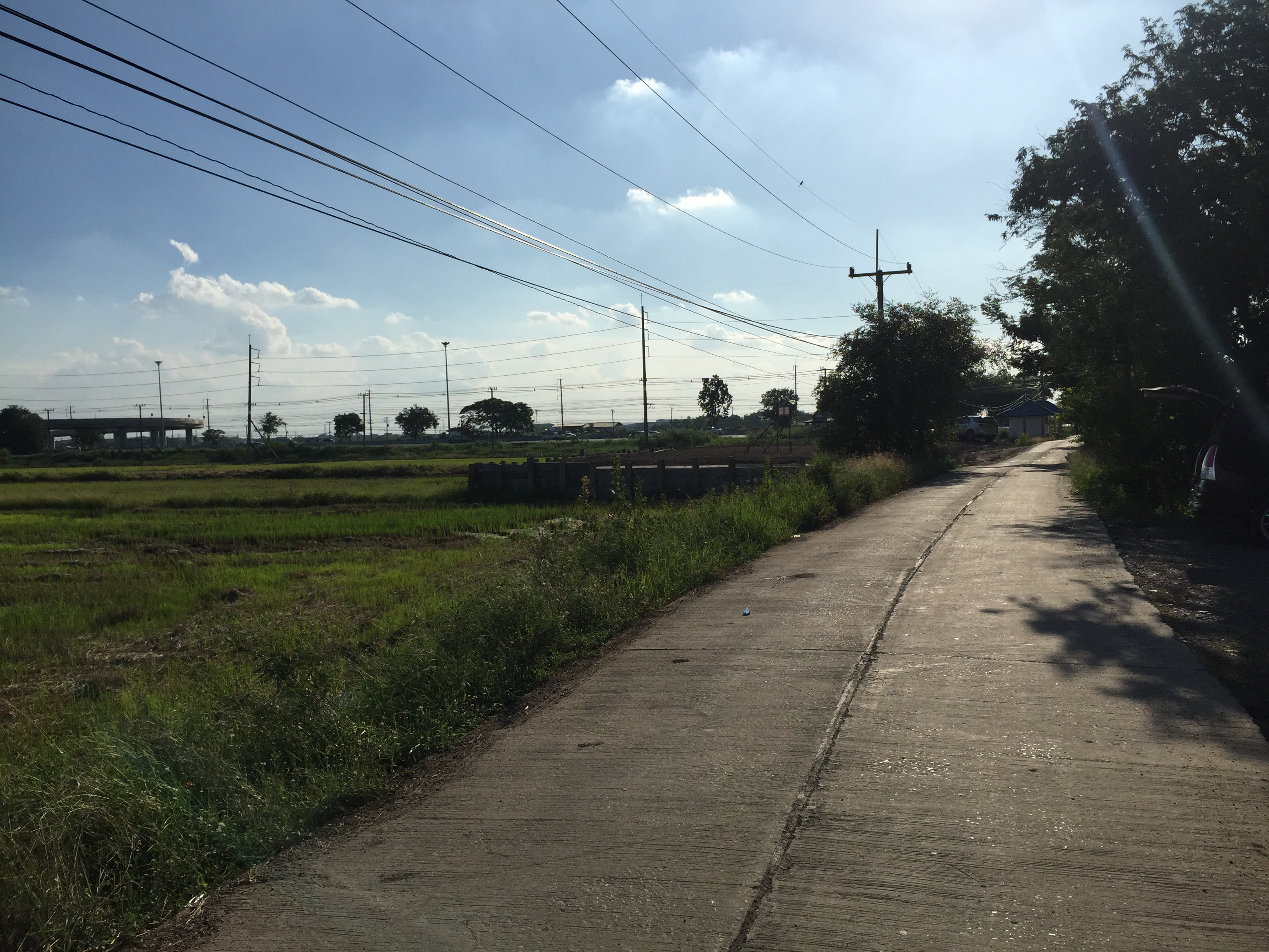 ที่ดินเปล่า19ไร่ ตำบล บ้านหว้า อำเภอ บางปะอิน พระนครศรีอยุธยา