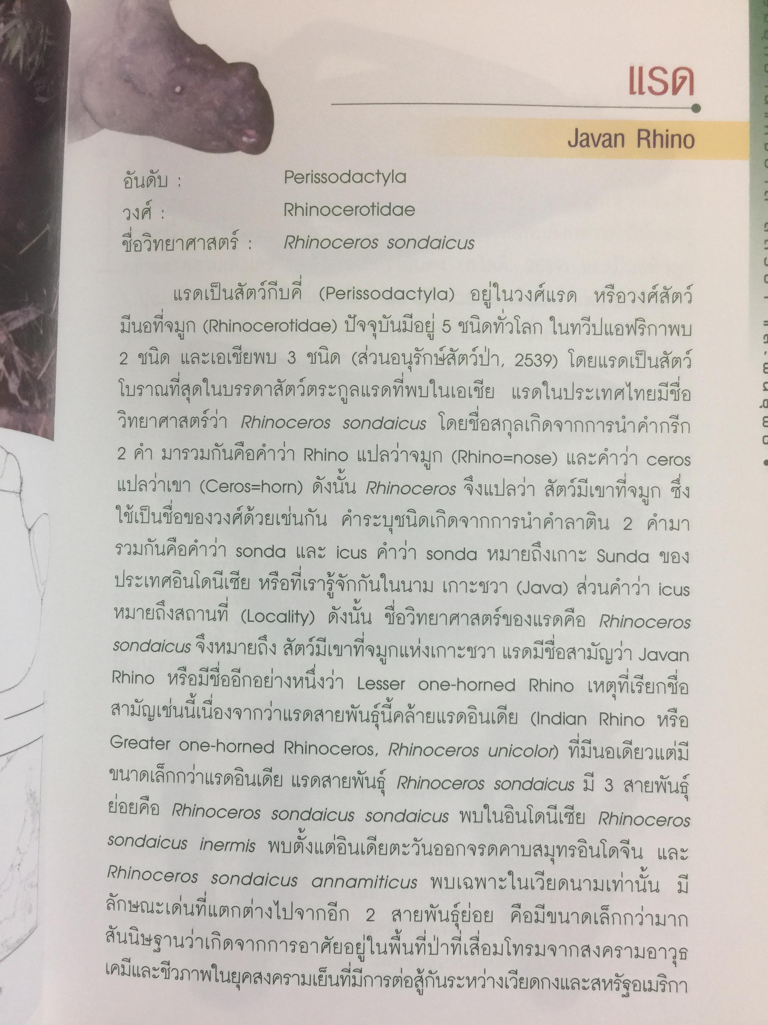 สัตว์ป่าสงวนในประเทศไทย Reserved Animals of Thailand 0 กก.