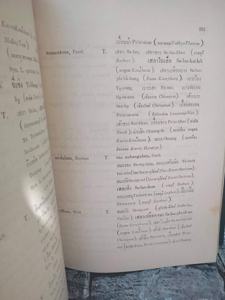 พรรณไม้แห่งประเทศไทย ชื่อพฤกษศาสตร์-ชื่อพื้นเมือง