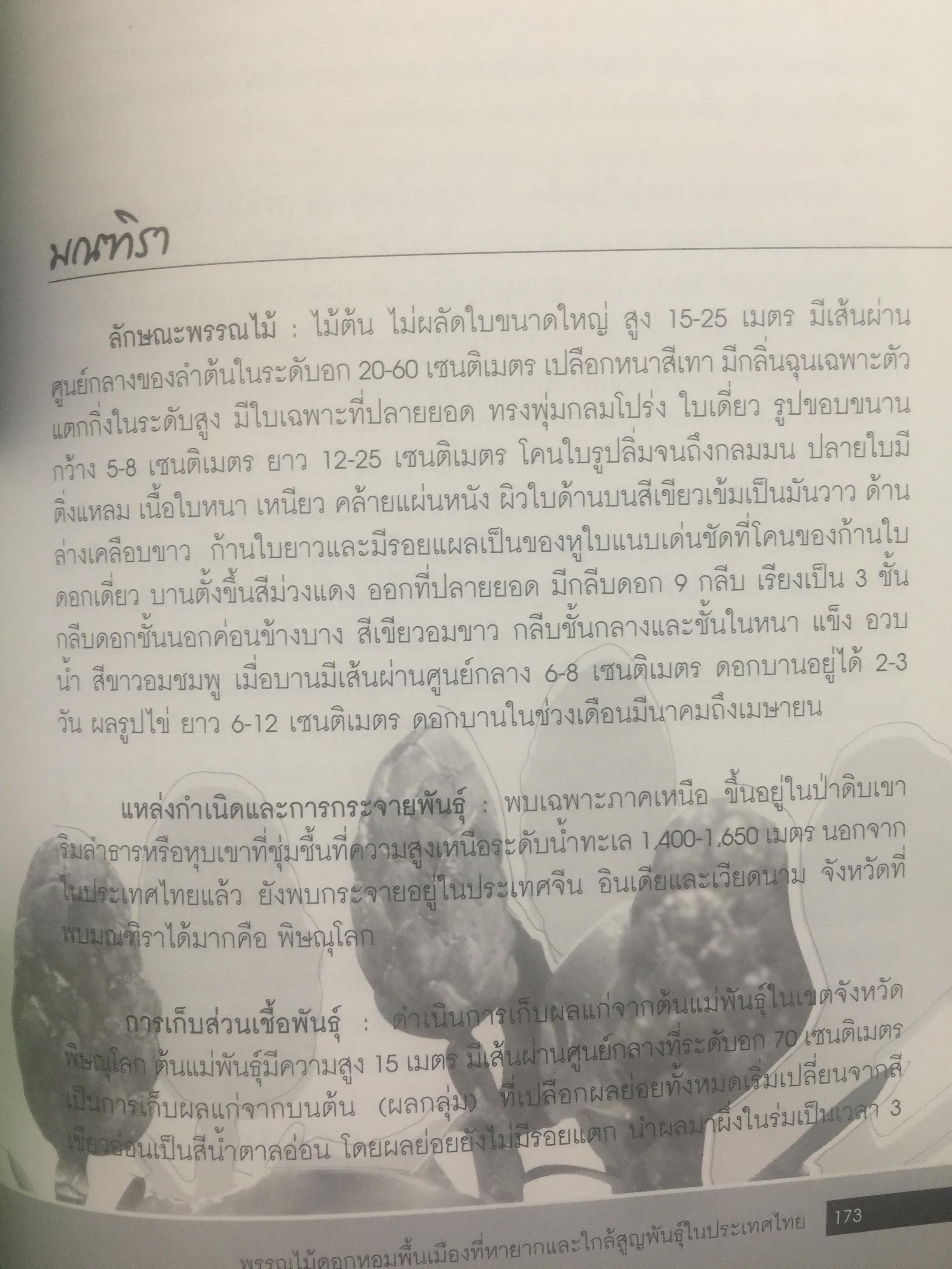 พรรณไม้ดอกหอมพื้นเมือง. ที่หายากและใกล้สูญพันธุ์ในประเทศไทย. ผู้เขียน ดร.ปิยะ เฉลิมกลิ่น 0 กก.