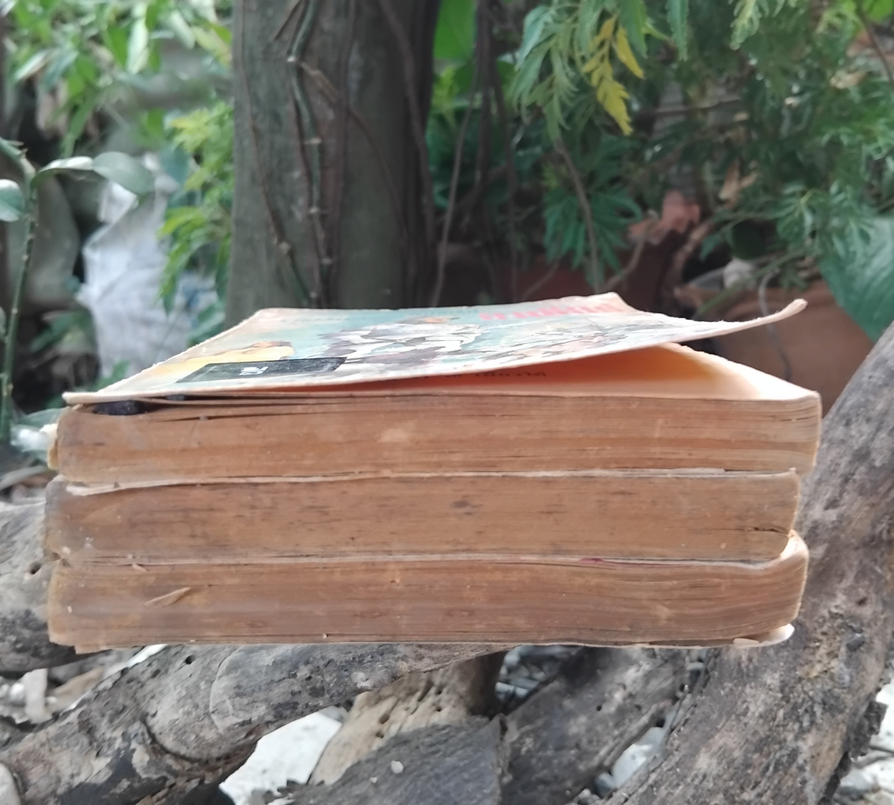 รวมหนังสือแนววรรณกรรมเยาวชนแปล ของ ท.ว.พ. ปกเก่า น่าอ่าน น่าสะสมครับ