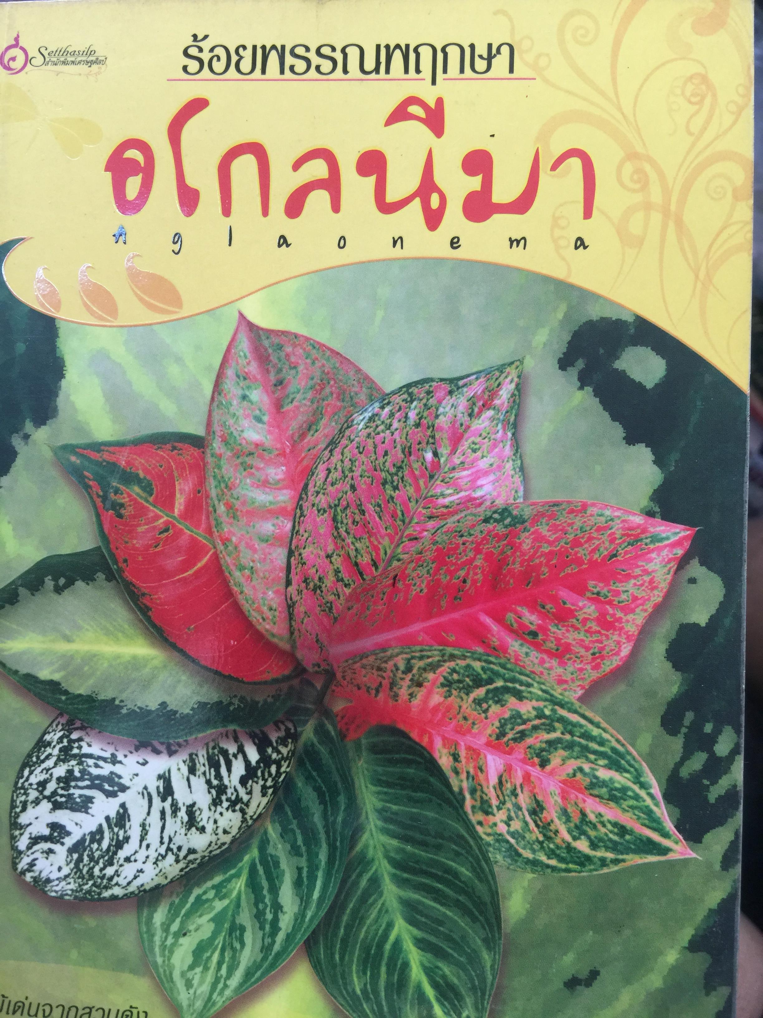 อโกลนีมา AGLAONEMA. โดย อาจารย์เศรษฐมันคร์ กาญจนกุล 0 กก.