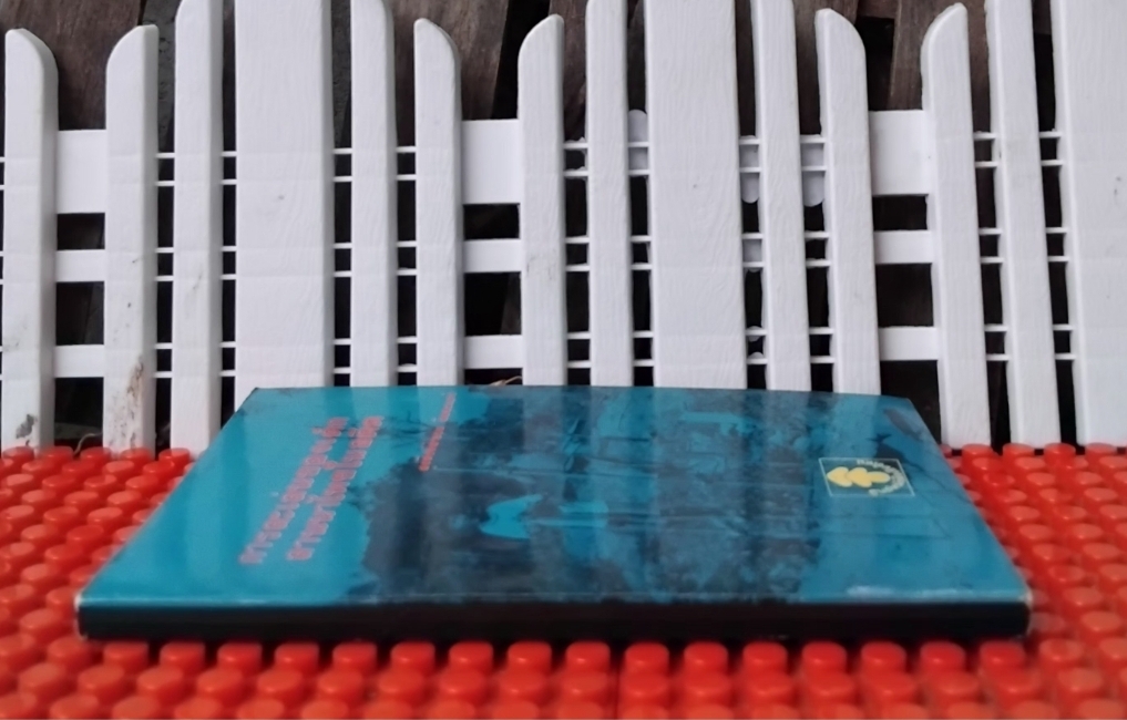 การละเล่นของเด็กลานนาไทยในอดีต โดย สุรสิงห์สำรวม ฉิมพระเนาว์ แนวคิดการมองโลกและปรับตัวของเด็ก เทียบมือ1