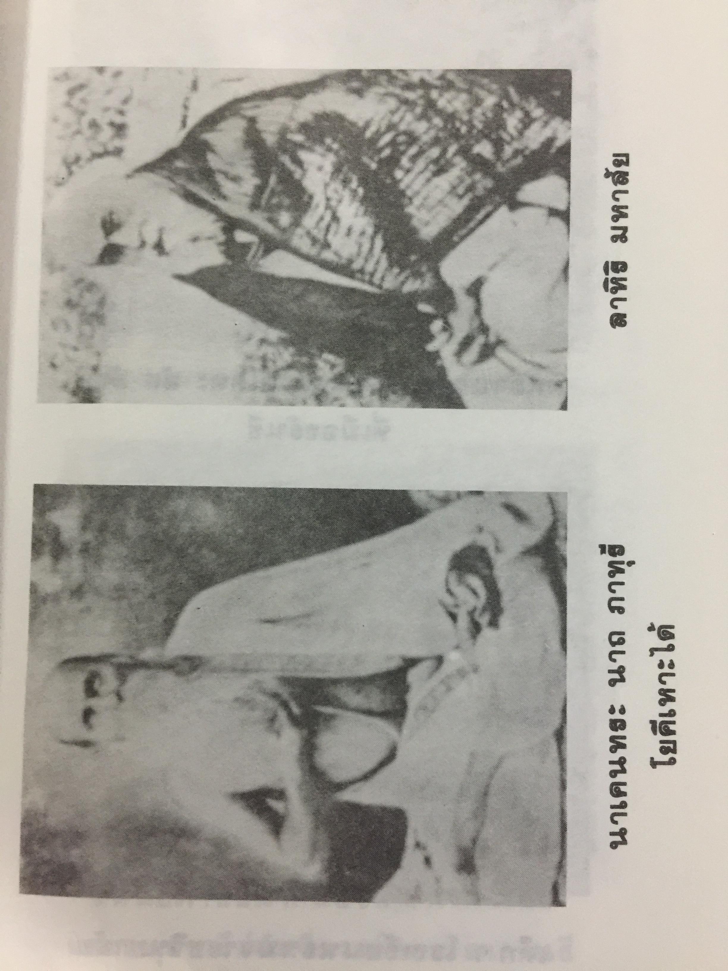 อัตชีวประวัติโยคี. AUTOBIOGRAPHY OF A YOKI. เรื่องราวความลี้ลับมหัศจรรย์ของโยคีอินเดีย. 1,600 กรัม