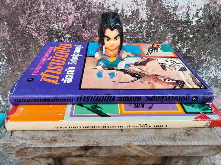 รายงานการทดสอบด้วยภาพ สารพัดปืน เล่ม 1-2