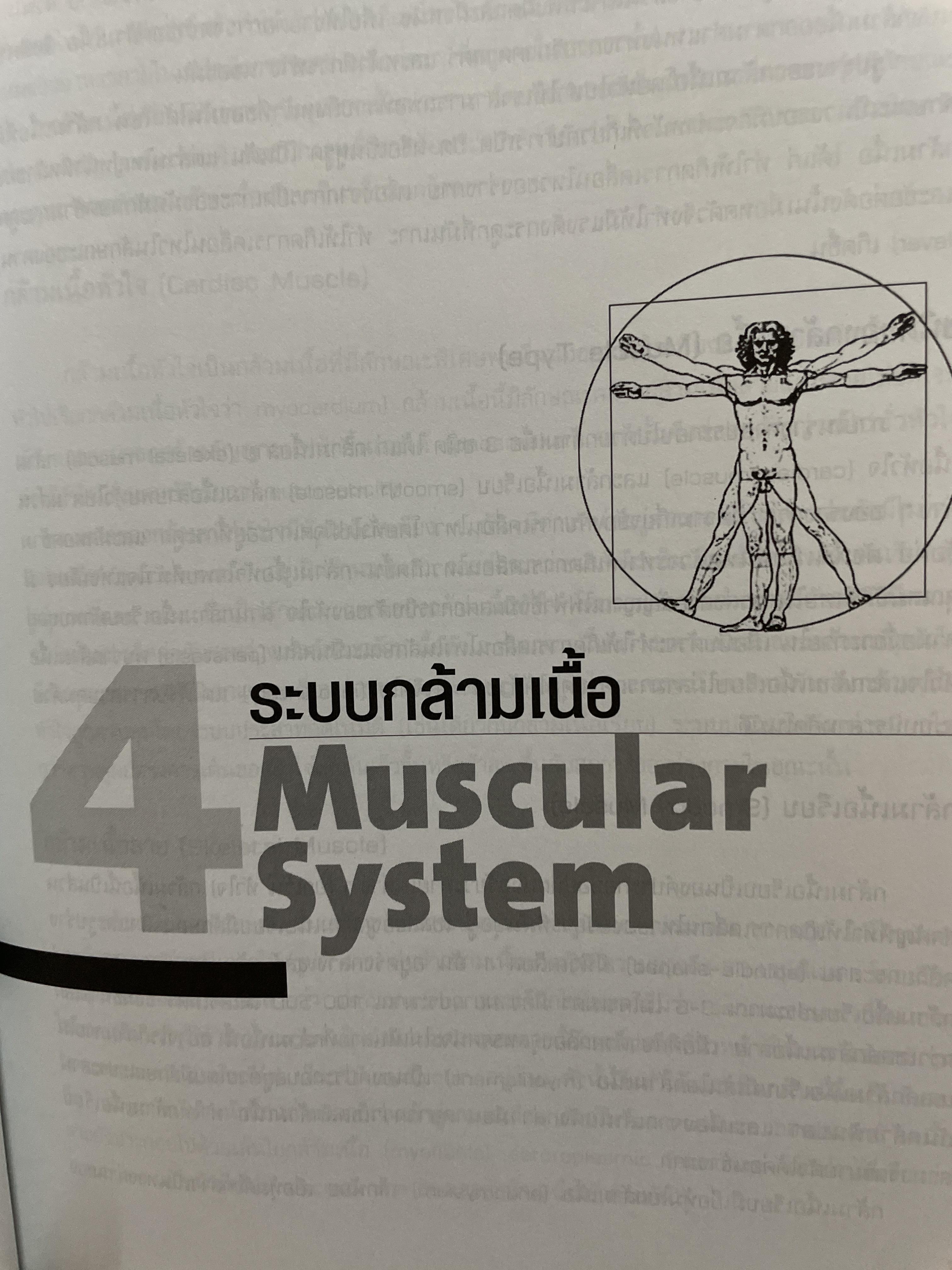 กายวิภาคศาสตร์ 1 ANATOMY. 1. ผู้เขียน บังอร ฉางทรัพย์ สำนักพิมพ์แห่งจุฬาลงกรณ์มหาวิทยาลัย 8,500 กรัม