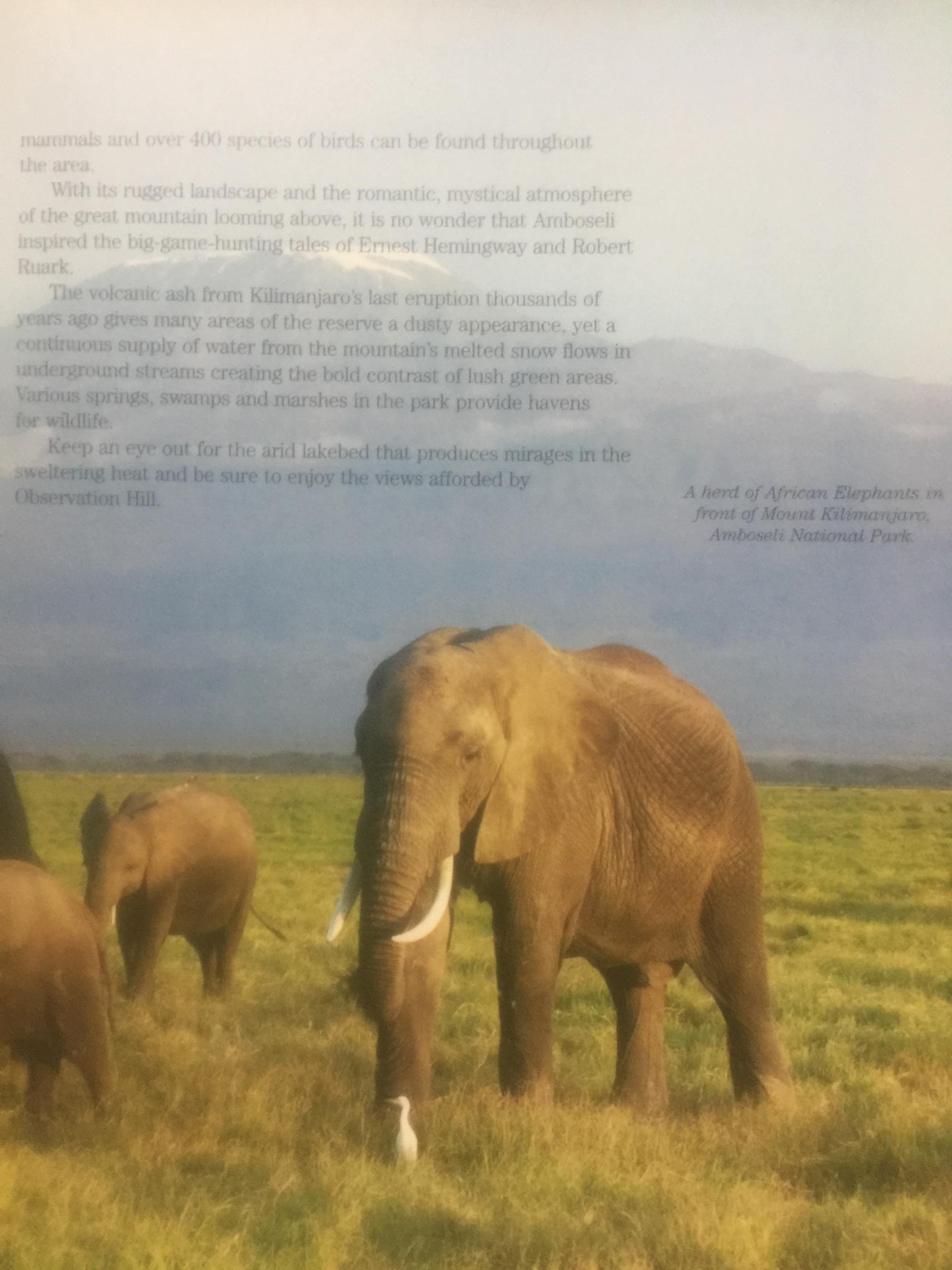 501. MUST-VISIT. DESTINATIONS. 0 กก.