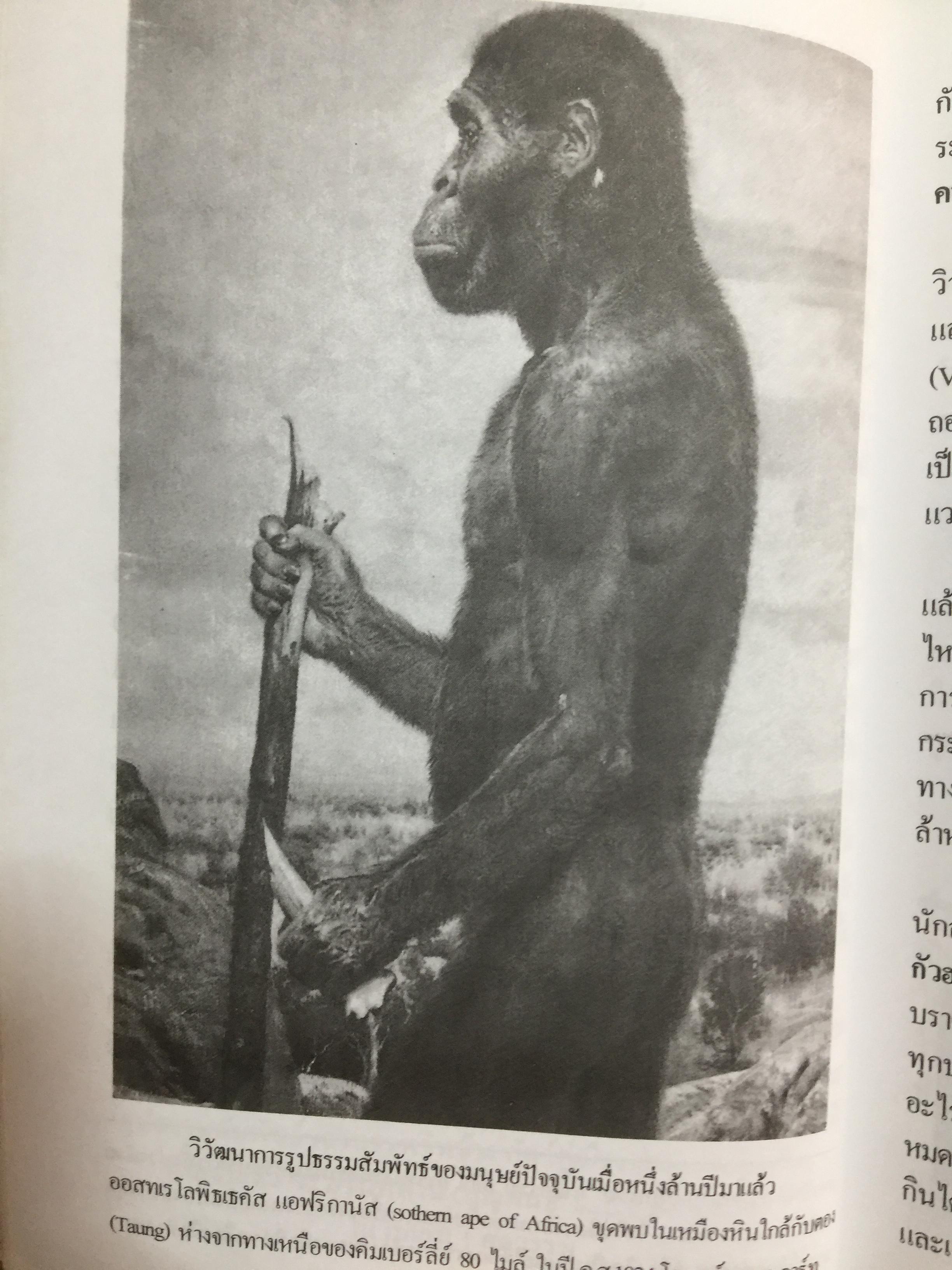 ปัญญาวิวัฒน์ ภาค 1. กำเนิดและวิวัฒนาการปัญญามนุษย์ ผู้เขียน พ.อ.สมัคร บุราวาศ 0 กก.